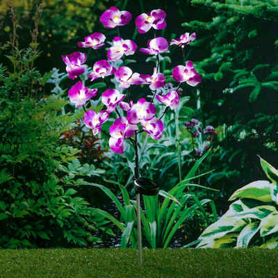 Haushalt International Gartenstecker Solar Gartenstecker Orchidee Maße: ca. 75cm hoch (1-St)