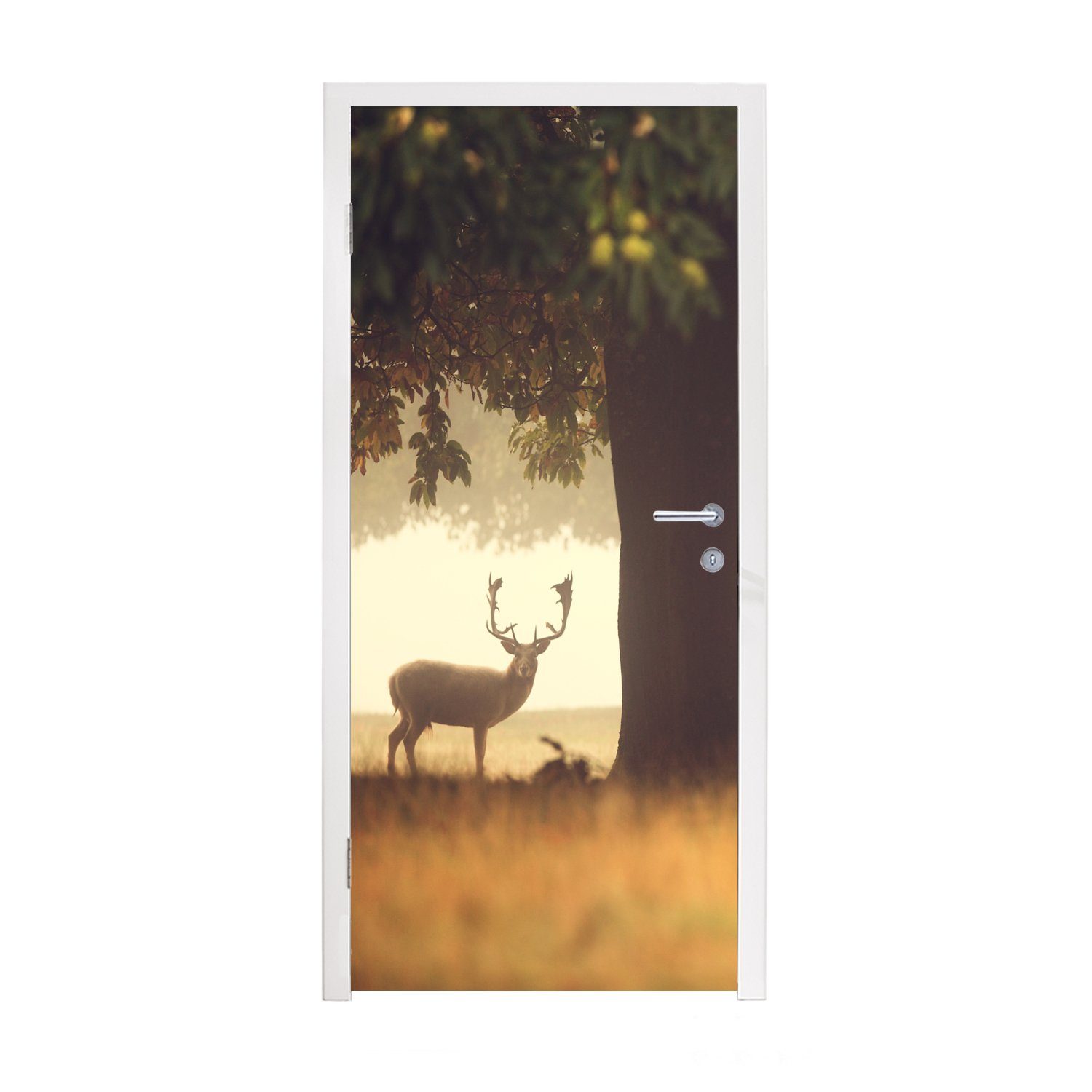 MuchoWow Türtapete Hirsche - Bäume - Wald, Matt, bedruckt, (1 St), Fototapete für Tür, Türaufkleber, 75x205 cm