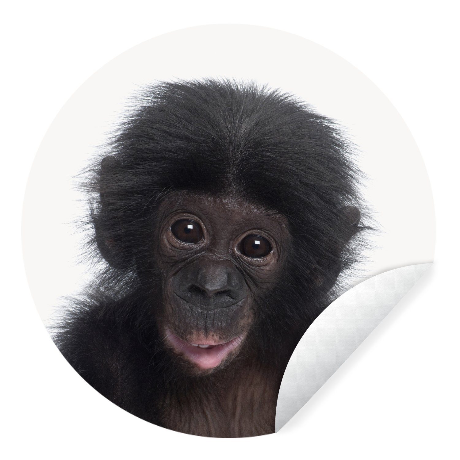 MuchoWow Wandsticker Schimpanse - Tiere - Rosa (1 St), Tapetenkreis für Kinderzimmer, Tapetenaufkleber, Rund, Wohnzimmer