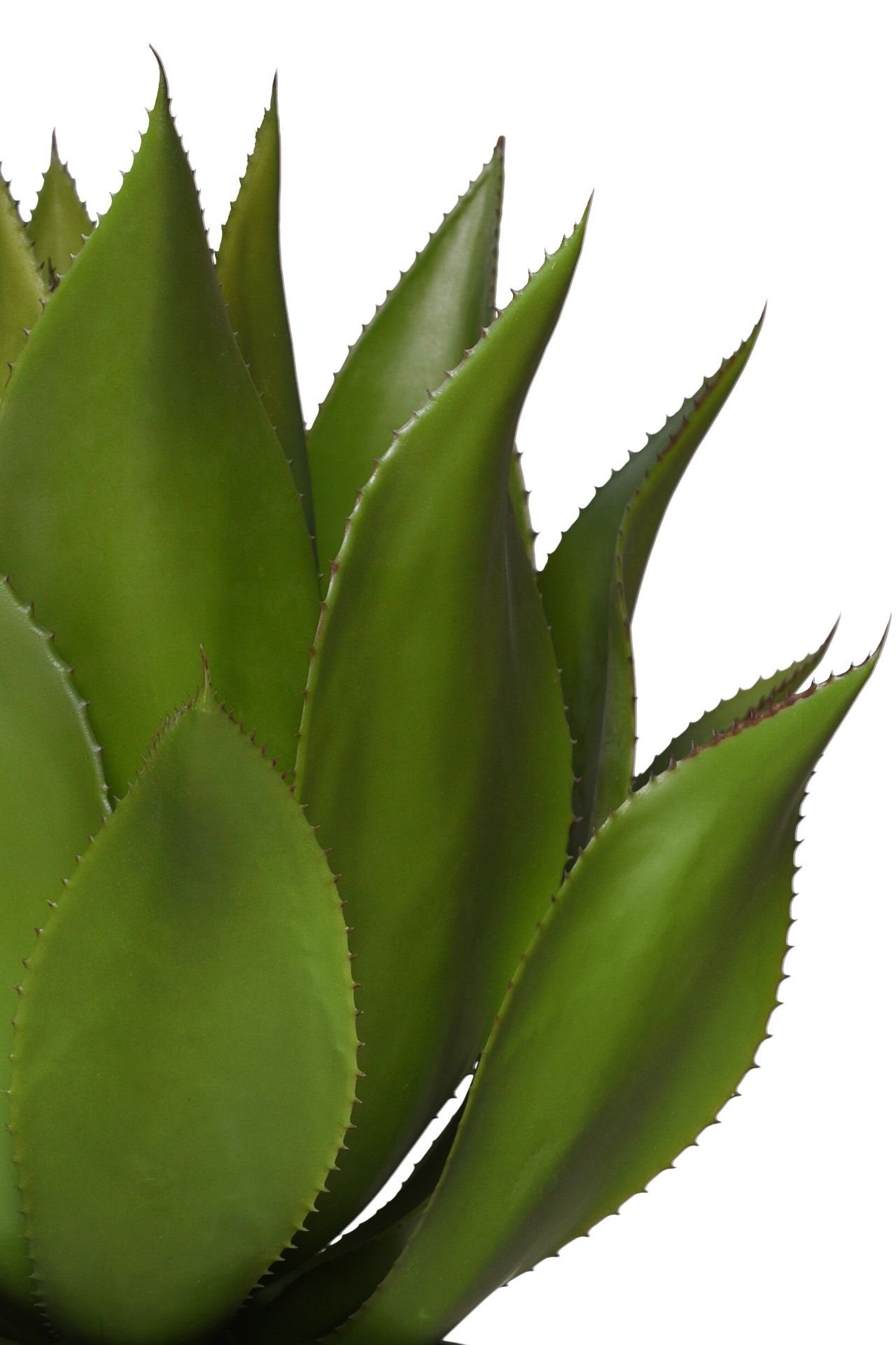 cm 48 künstlich Kunstpflanze Sukkulente Kunstpflanze -, VIVANNO, Topf Höhe im AGAVO schwarzen Agave