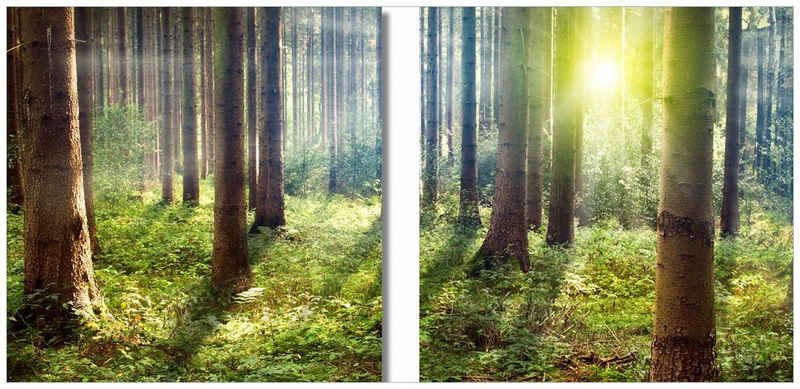 Wallario Acrylglasbild, Sonnenuntergang im Wald zwischen den Bäumen, in verschiedenen Ausführungen