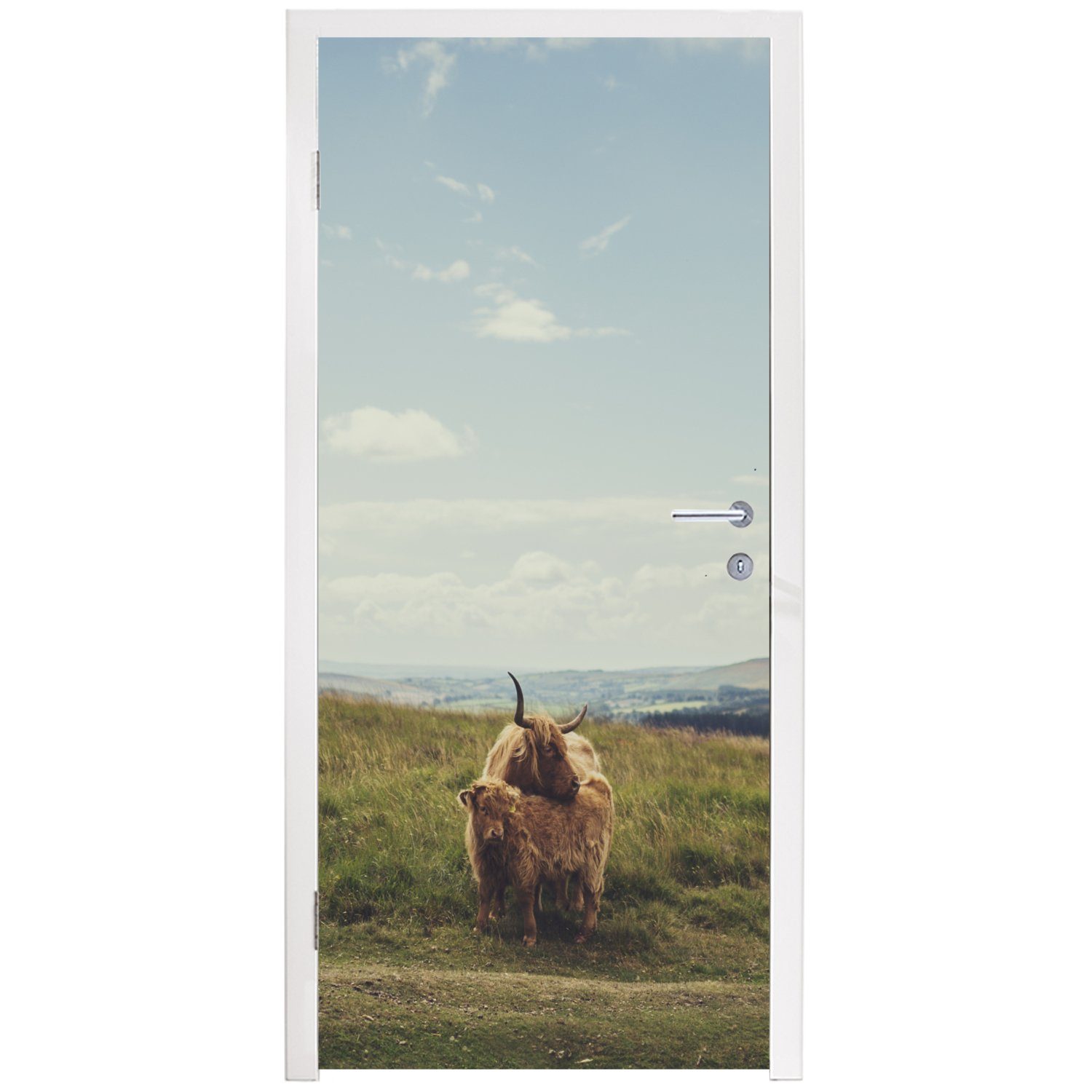 Schottische Tiere, MuchoWow Matt, Gras Türaufkleber, 75x205 - cm für Tür, (1 Fototapete St), Türtapete bedruckt, Wolken Highlander - -
