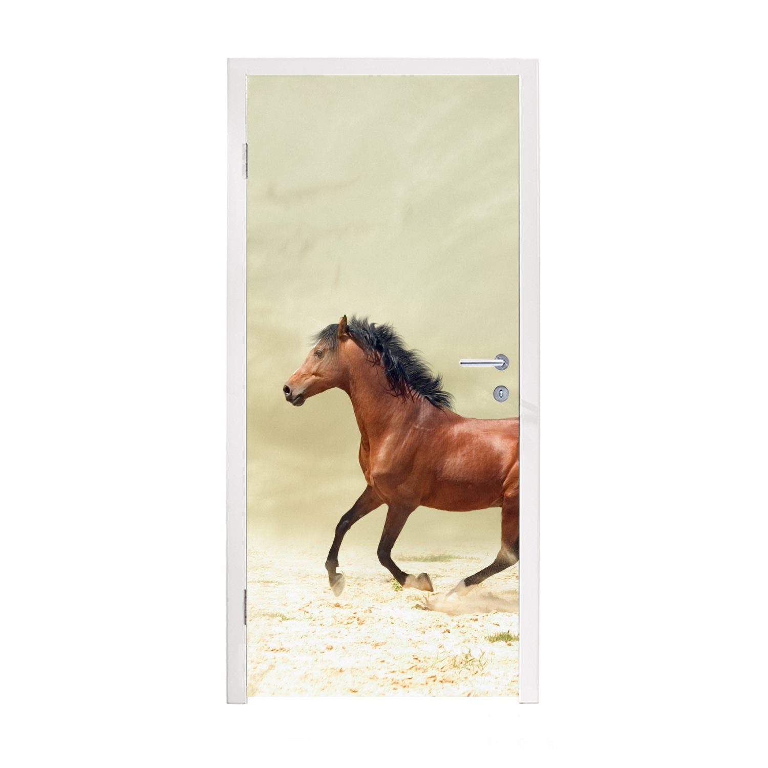 MuchoWow Türtapete Pferd - Stoff - Sand, Matt, bedruckt, (1 St), Fototapete für Tür, Türaufkleber, 75x205 cm