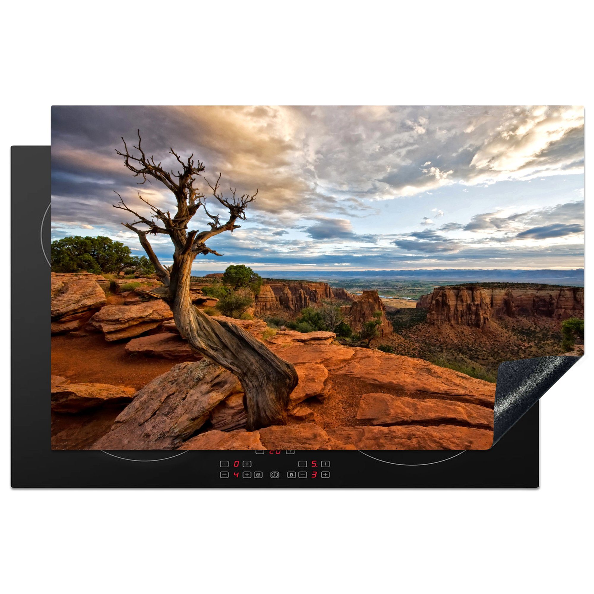 MuchoWow Herdblende-/Abdeckplatte Krummer Baum im Colorado National Monument, Vinyl, (1 tlg), 81x52 cm, Induktionskochfeld Schutz für die küche, Ceranfeldabdeckung