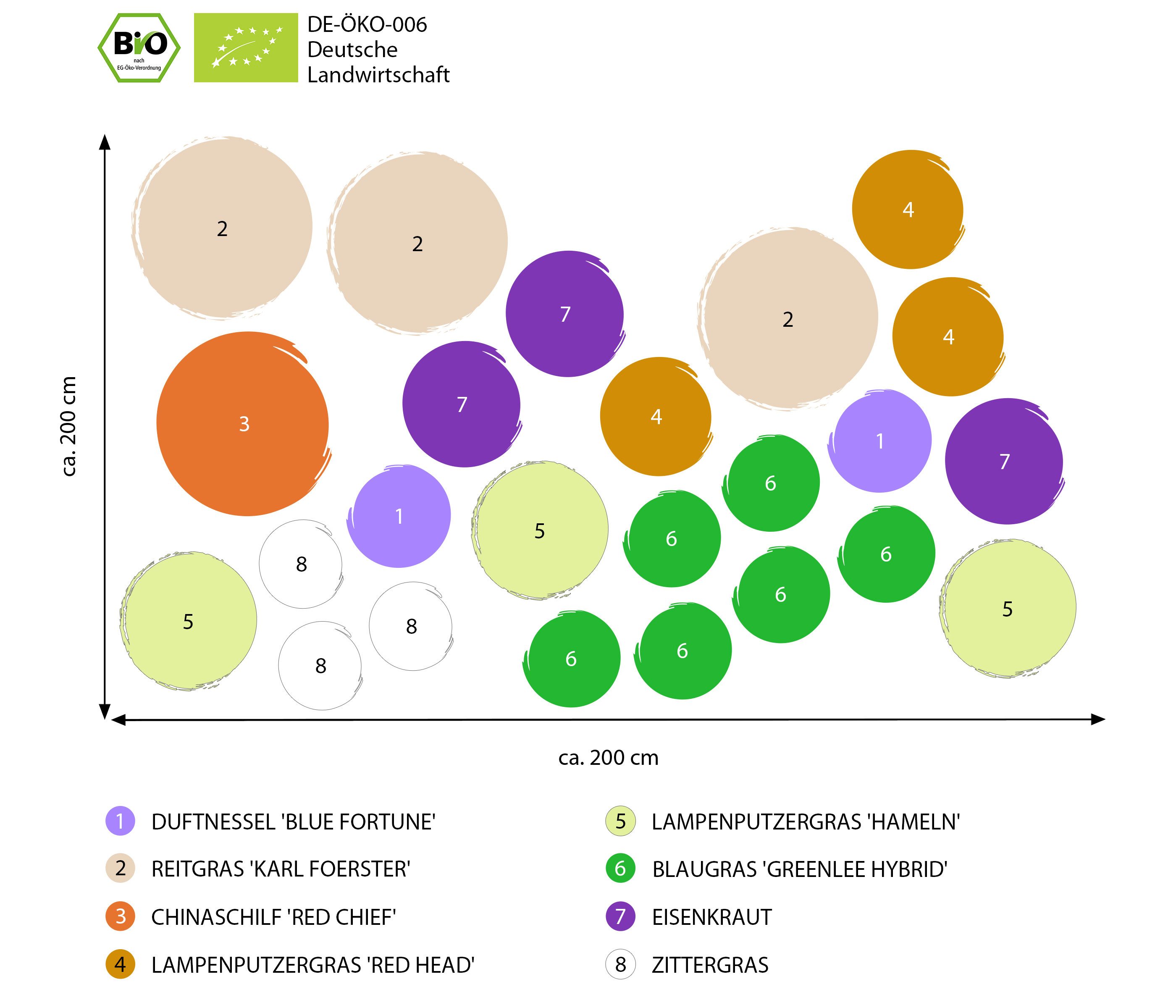Dehner Staude Bio Stauden-Set Großes Gräser-Beet, 24 Stück, je 10 cm, Gräser- und Stauden-Mix für sonnige bis halbschattige Standorte