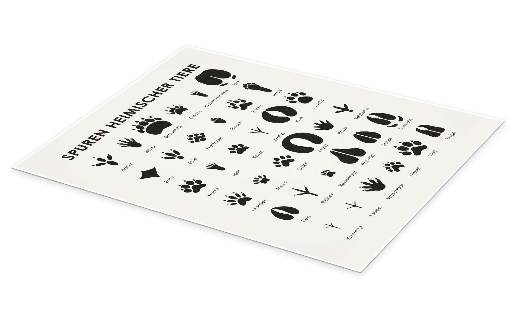 Posterlounge Wandbild Spuren heimischer Tiere I, Iris Luckhaus, erhältlich günstig online kaufen