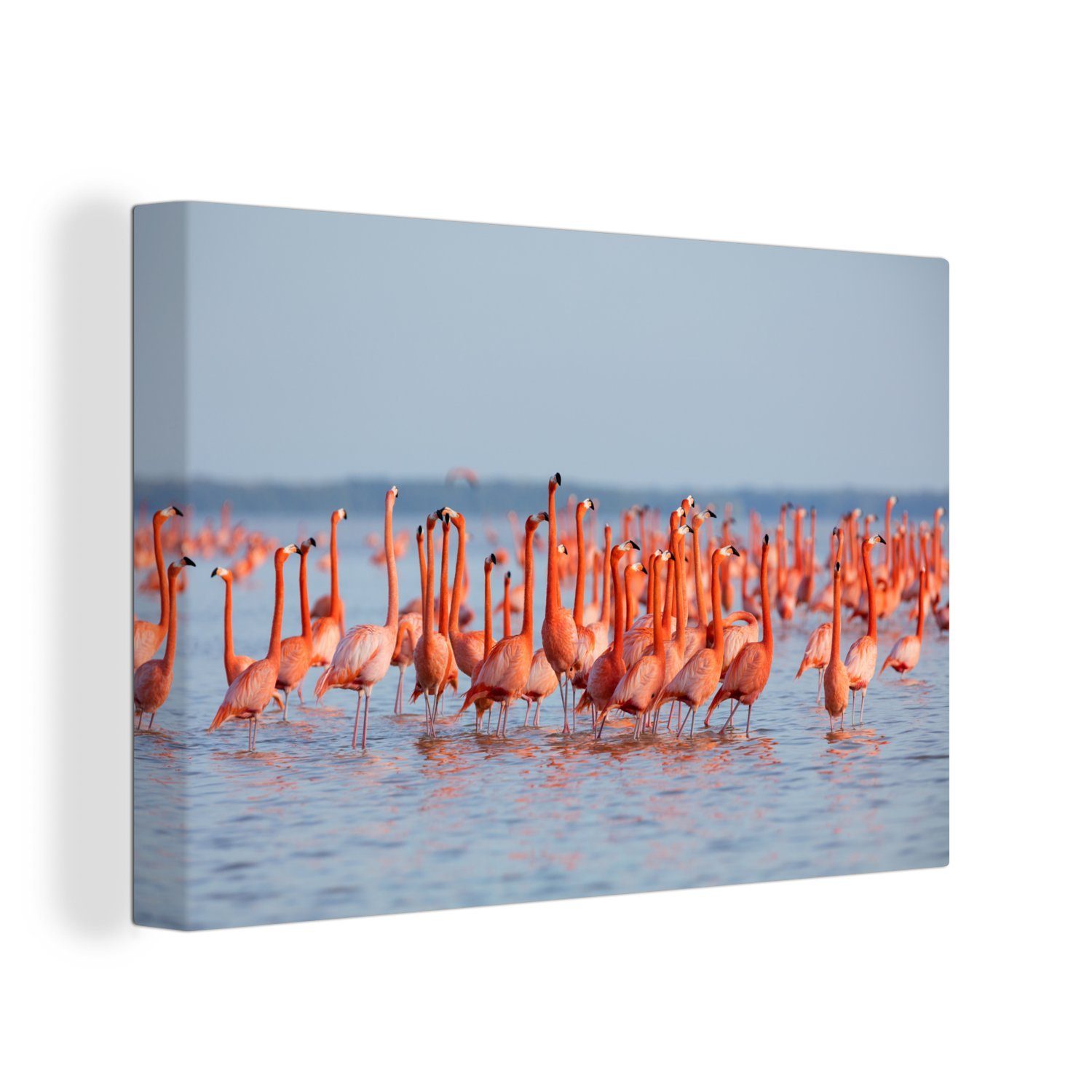 OneMillionCanvasses® Leinwandbild Große Gruppe von Flamingos im Wasser, (1 St), Wandbild Leinwandbilder, Aufhängefertig, Wanddeko, 30x20 cm