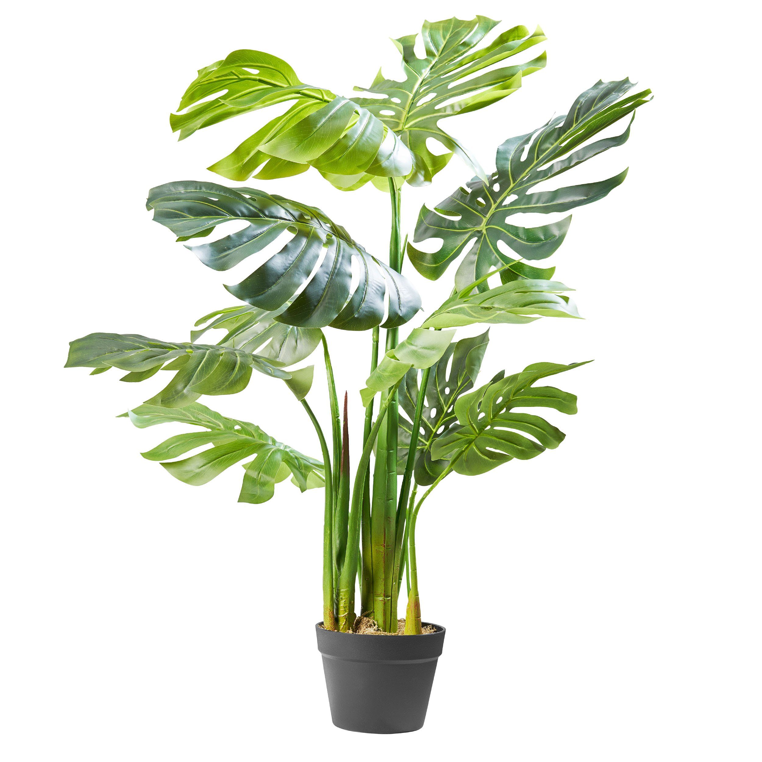 [Vertrauen zuerst, Qualität zuerst] Kunstpflanze Dekopflanze Dekopflanze, Amare home, cm 110 Höhe