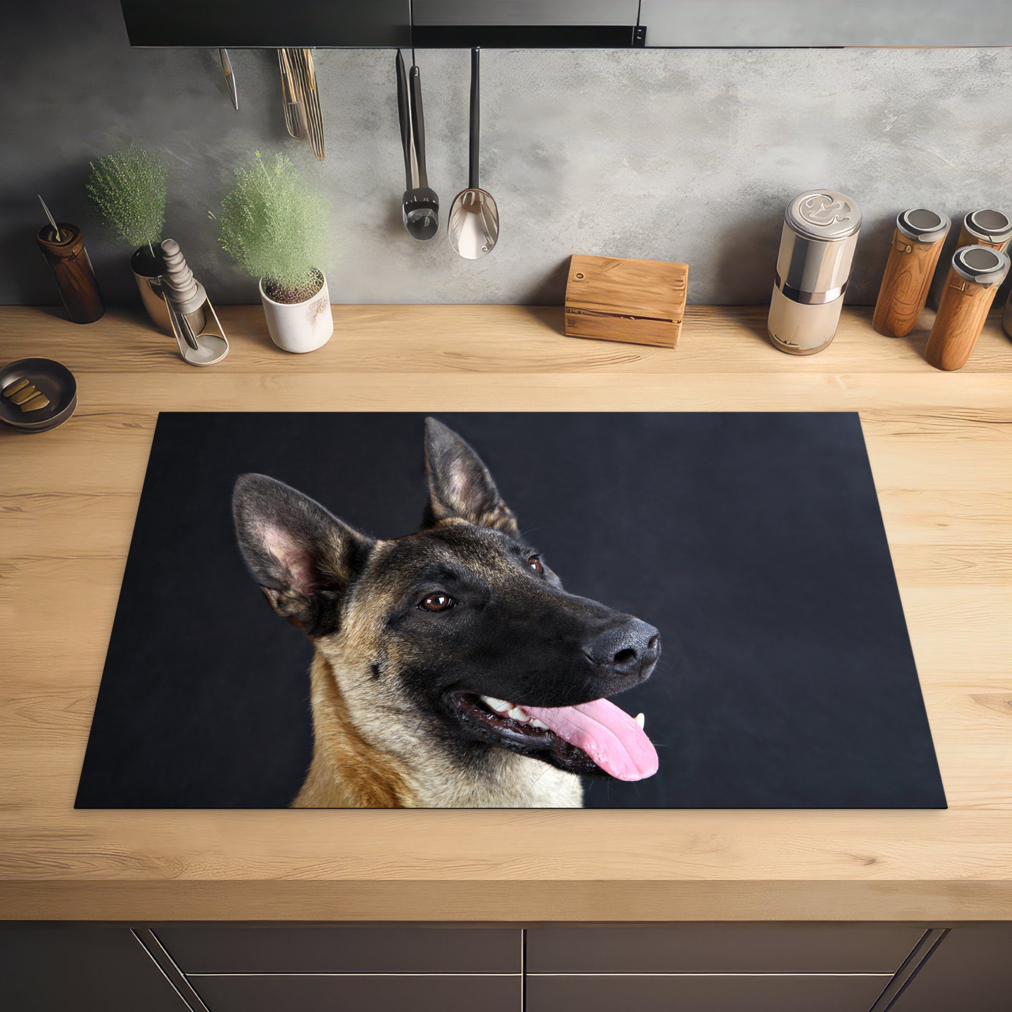 MuchoWow küche, Ein tlg), für die Induktionskochfeld Herdblende-/Abdeckplatte Malinois-Schäferhund Ceranfeldabdeckung Schutz schaut 81x52 cm, Vinyl, (1 auf,