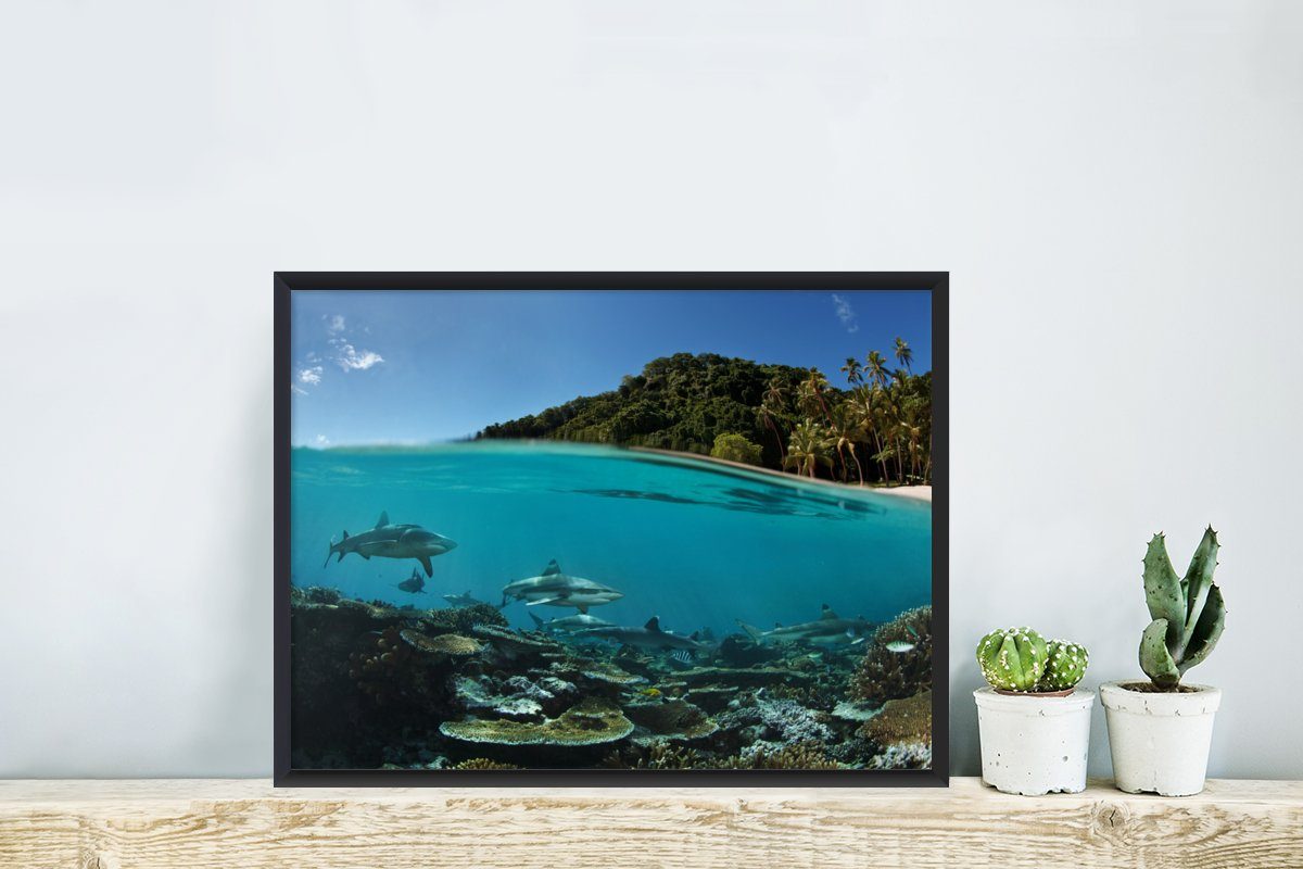 MuchoWow Poster Korallen - St), Haie (1 Rahmen, Meer, Schwarzem - Kunstdruck, Bilderrahmen Gerahmtes mit Poster