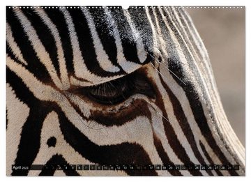 CALVENDO Wandkalender Wilde Tiere - Die schönsten Portraits (Premium, hochwertiger DIN A2 Wandkalender 2023, Kunstdruck in Hochglanz)