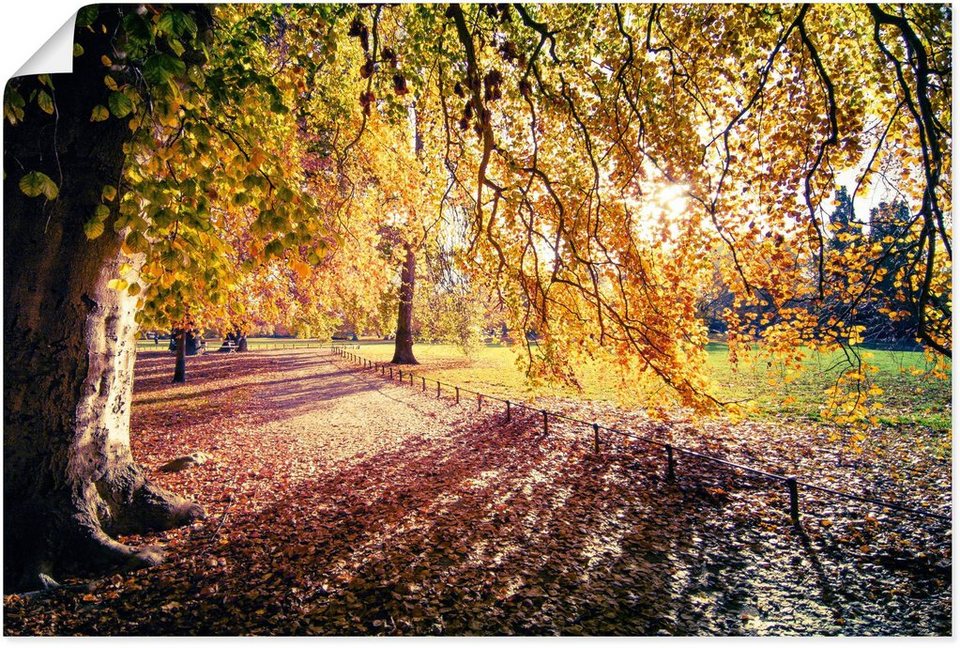 Artland Wandbild Herbstbaum im Sonnenlicht in Leipzig, Blätterbilder (1 St),  als Alubild, Leinwandbild, Wandaufkleber oder Poster in versch. Größen
