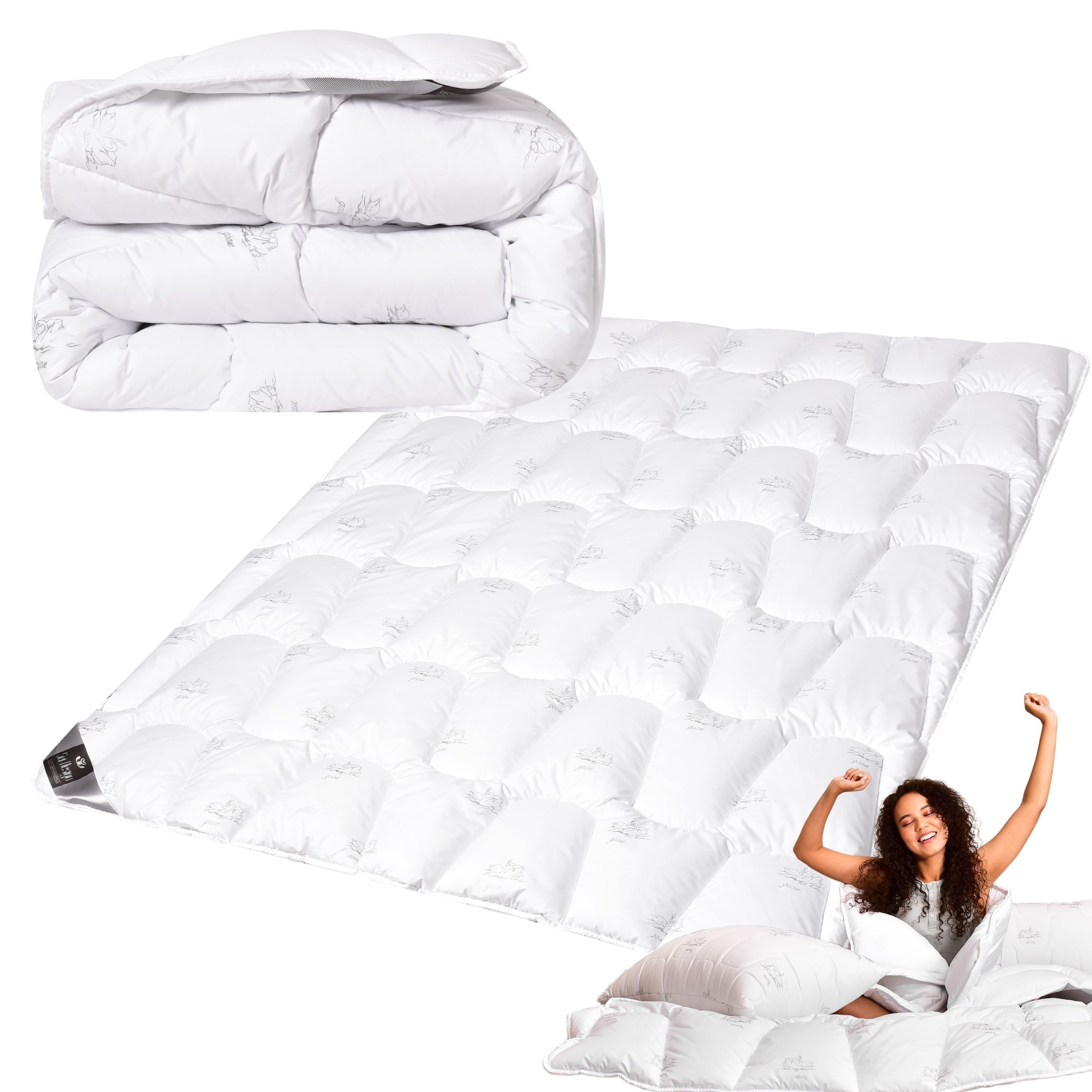 SEI Design Microfaserbettdecke Winter Bettdecke SWAN - warme Decke weich wi günstig online kaufen