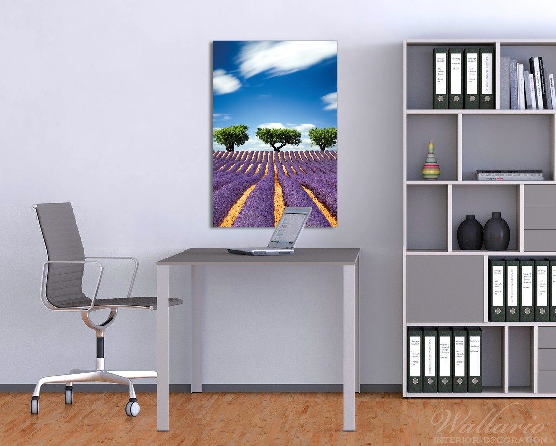 Wallario Glasbild, Abstraktes lila Blumenfeld mit günstig online kaufen