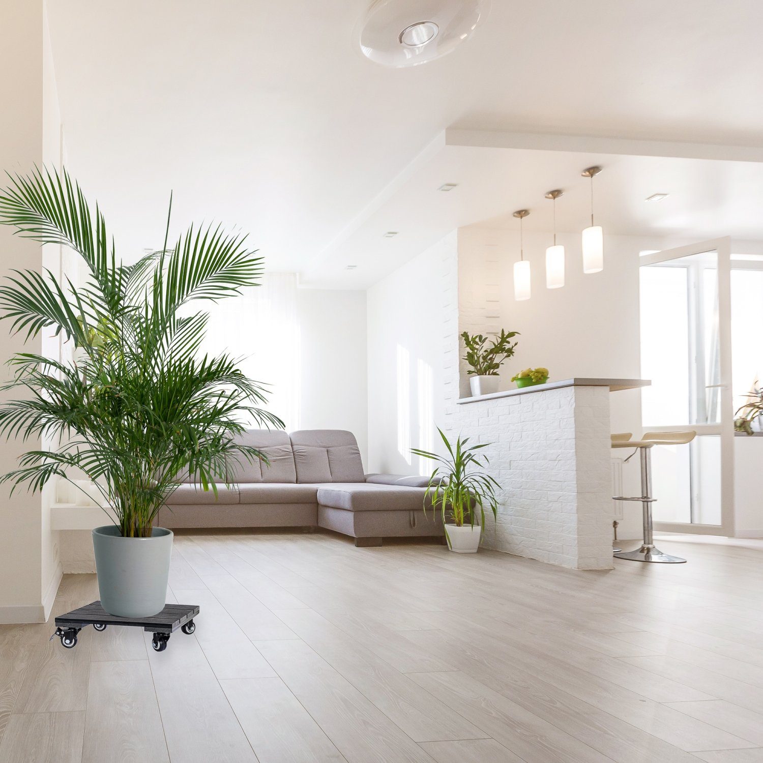 STILISTA Blumentopfuntersetzer WPC Pflanzenroller Blumenroller Rollbrett, günstig online kaufen
