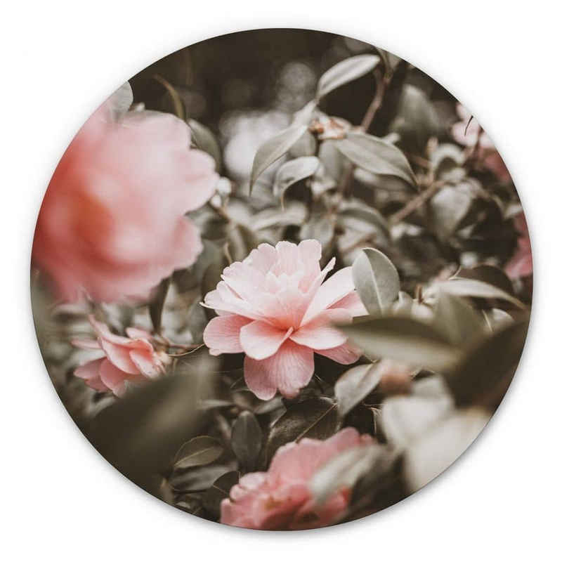 K&L Wall Art Gemälde Metallposter Rund Rosenblüte Rosa Wildblumen Vintage Deko, Metalloptik Wandbild Ø 30cm