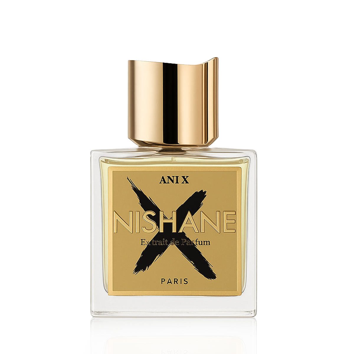 Nishane Extrait Parfum Ani X