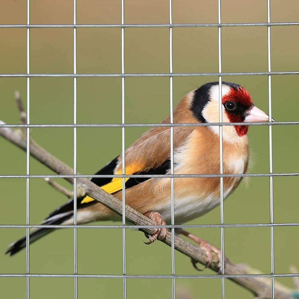 MYPETS Voliere Volierendraht 12 x 12 mm MyPets® Drahtgitter Verzinkt Drahtzaun