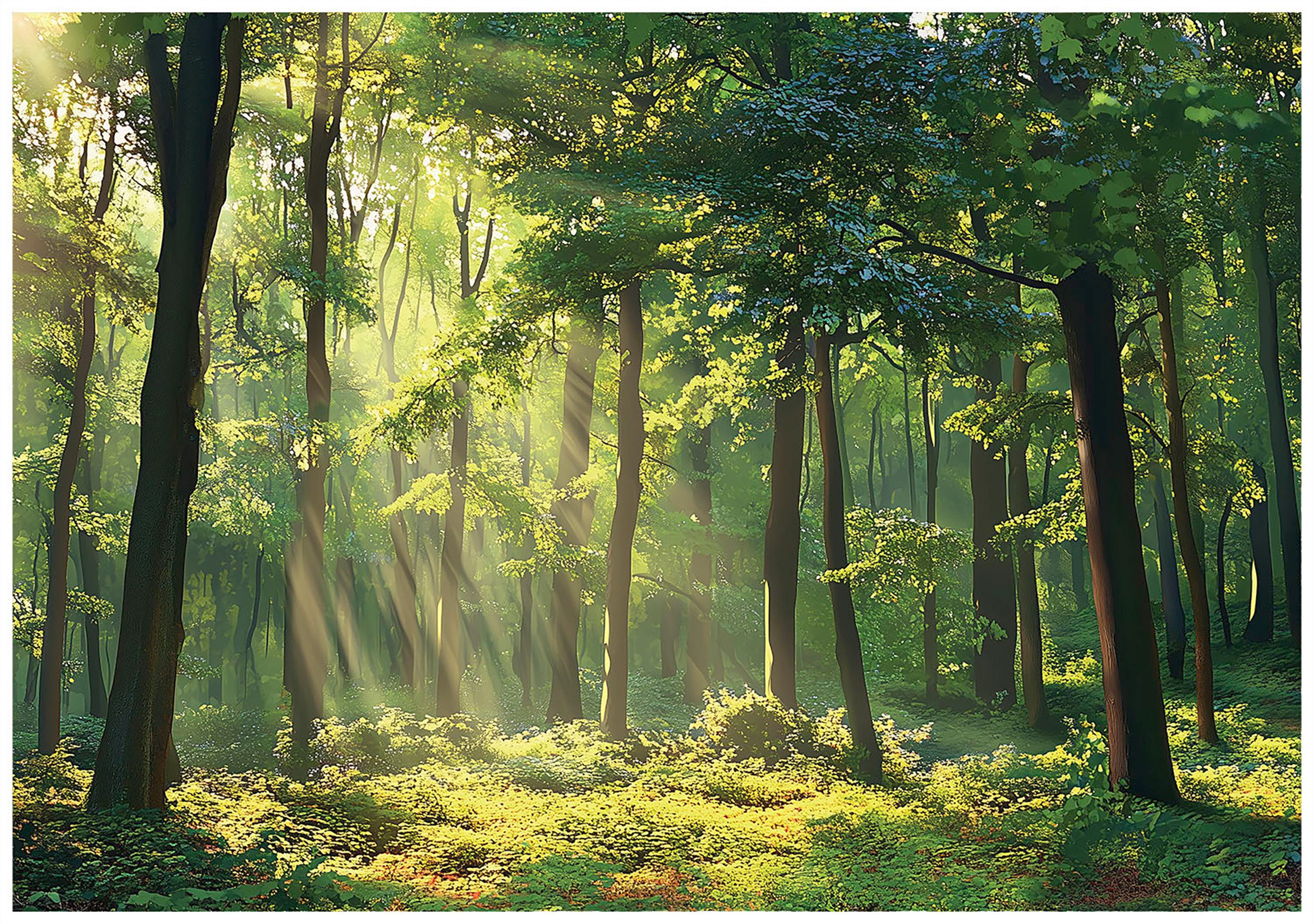 Wallarena Fototapete Wald Natur Landschaft Vlies günstig online kaufen