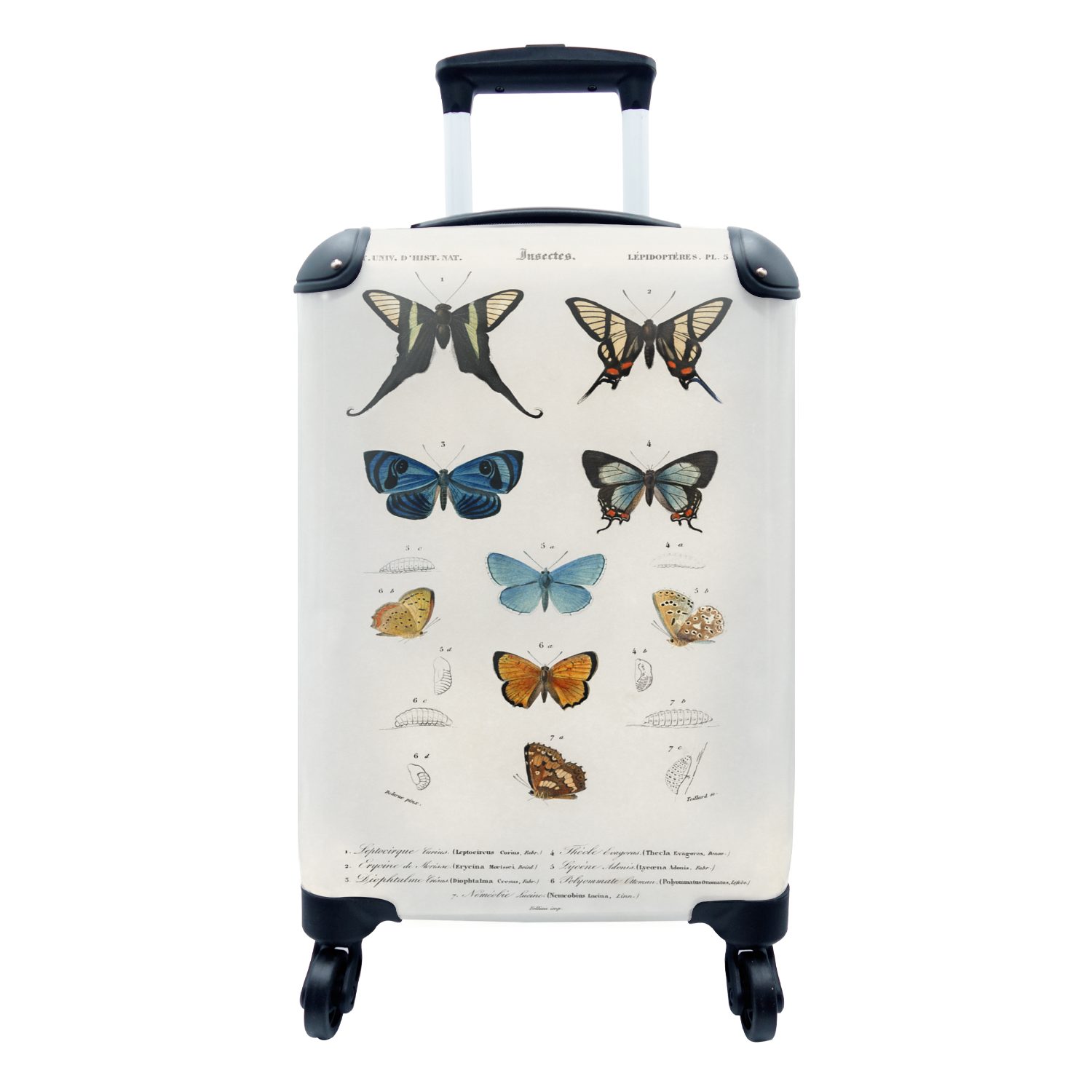 MuchoWow 4 Rollen, Schmetterling Trolley, mit Reisetasche Vintage - Reisekoffer Handgepäckkoffer für Handgepäck rollen, Insekten, - Ferien,