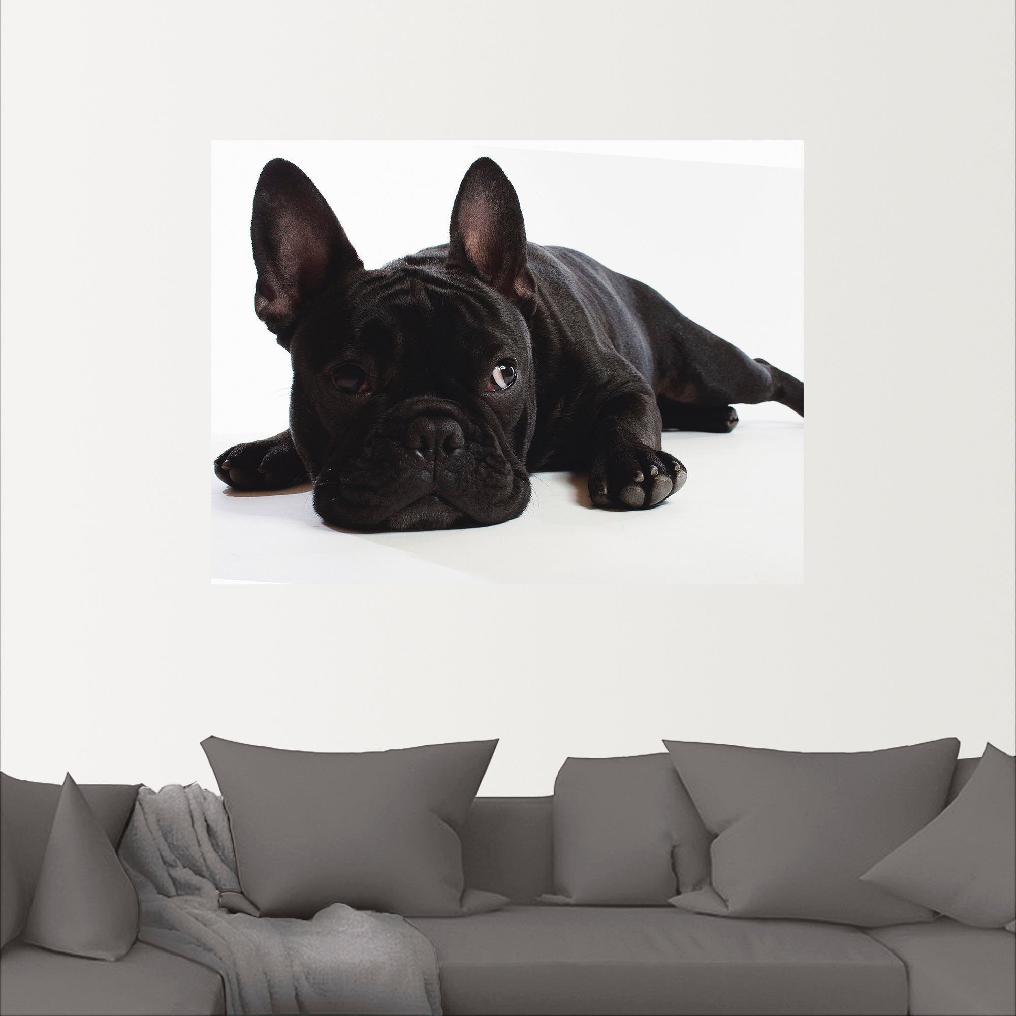 versch. Wandaufkleber Bulldogge, (1 als oder Haustiere St), Poster Alubild, Leinwandbild, in Wandbild Größen Artland