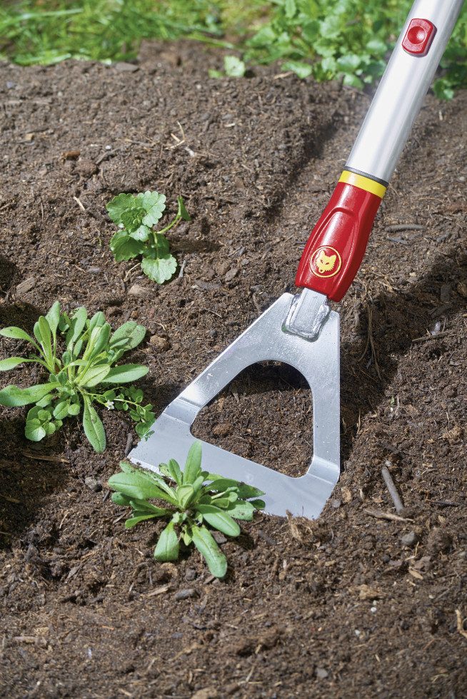 WOLF-Garten Unkrautstecher Wolf Garten Dutch Hoe DH-M 13 cm Arbeitsbreite