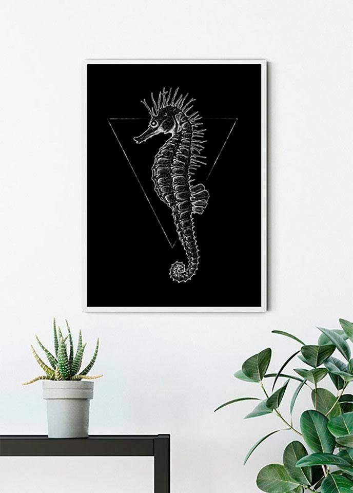 Komar Poster Sea Horse Black, Tiere (1 St), Kinderzimmer, Schlafzimmer,  Wohnzimmer