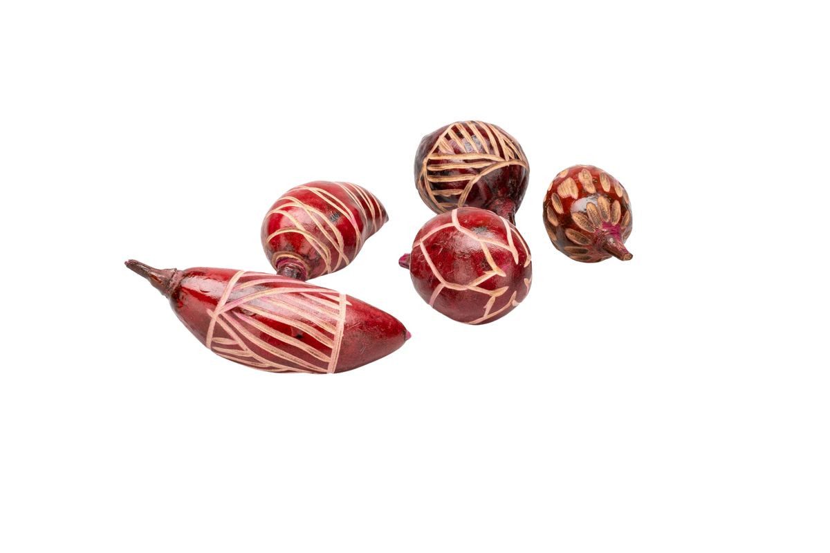 NaDeco Bastelnaturmaterial Baobab mini 5 Stück ca. 5-10 cm Mix Design in Lila