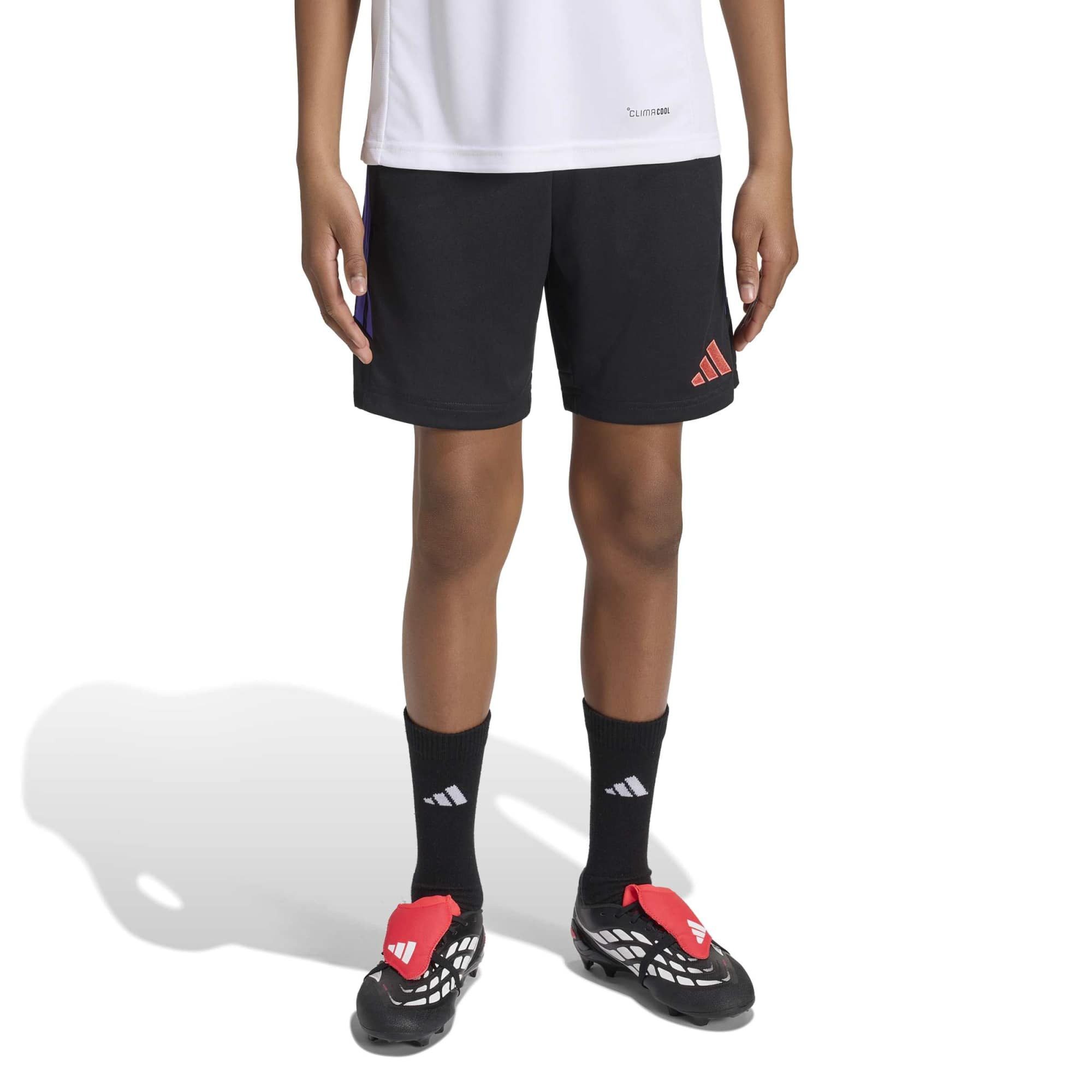 adidas Performance Shorts TIRO26L TRSHOY BLACK/PURPUR – Bild 3 von 5