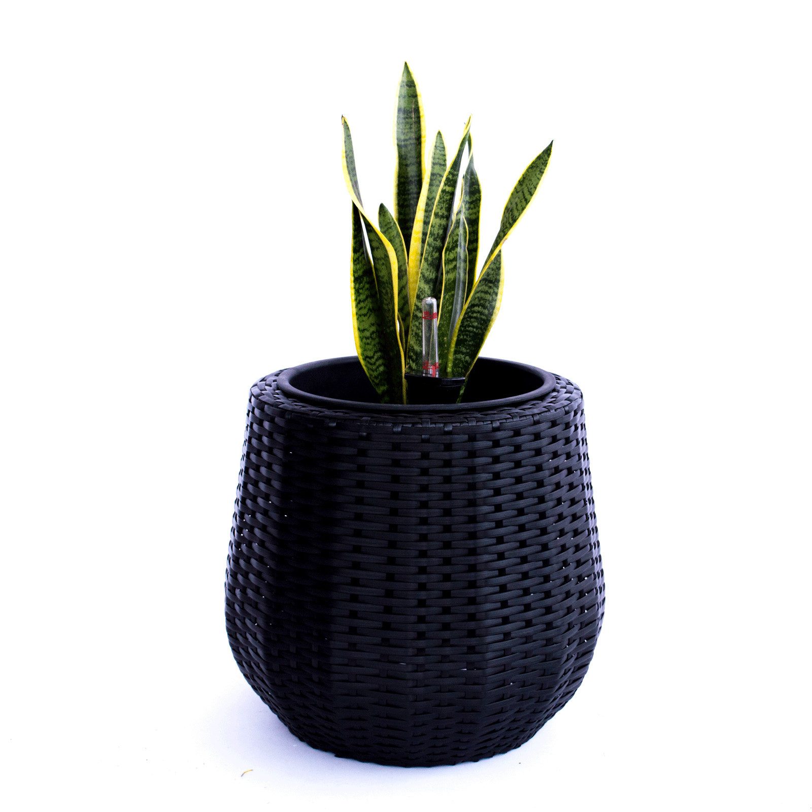 Elegant Einrichten Pflanzkübel Polyrattan rund konisch D52xH44cm schwarz (1 St)