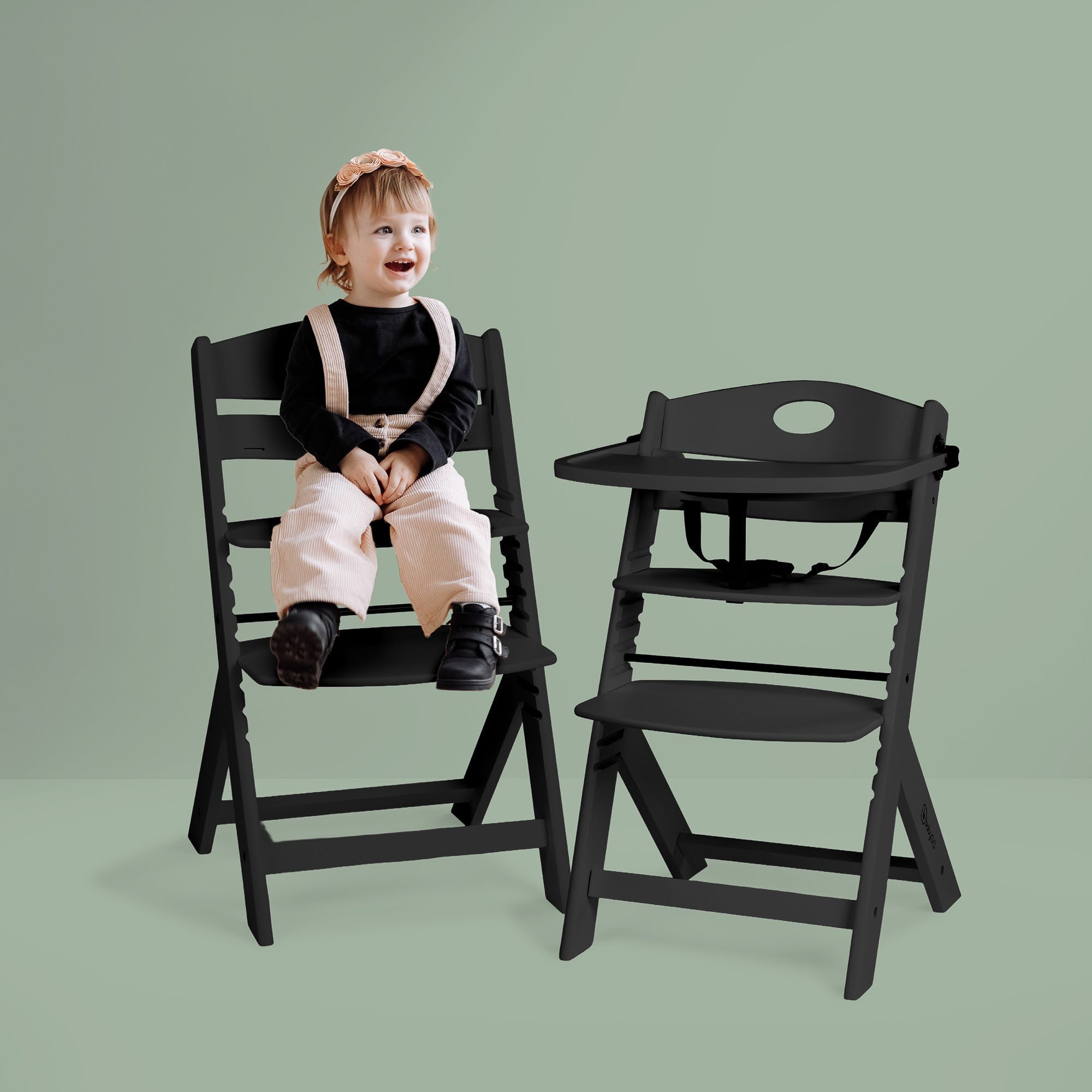 BabyGo Hochstuhl Family Pro