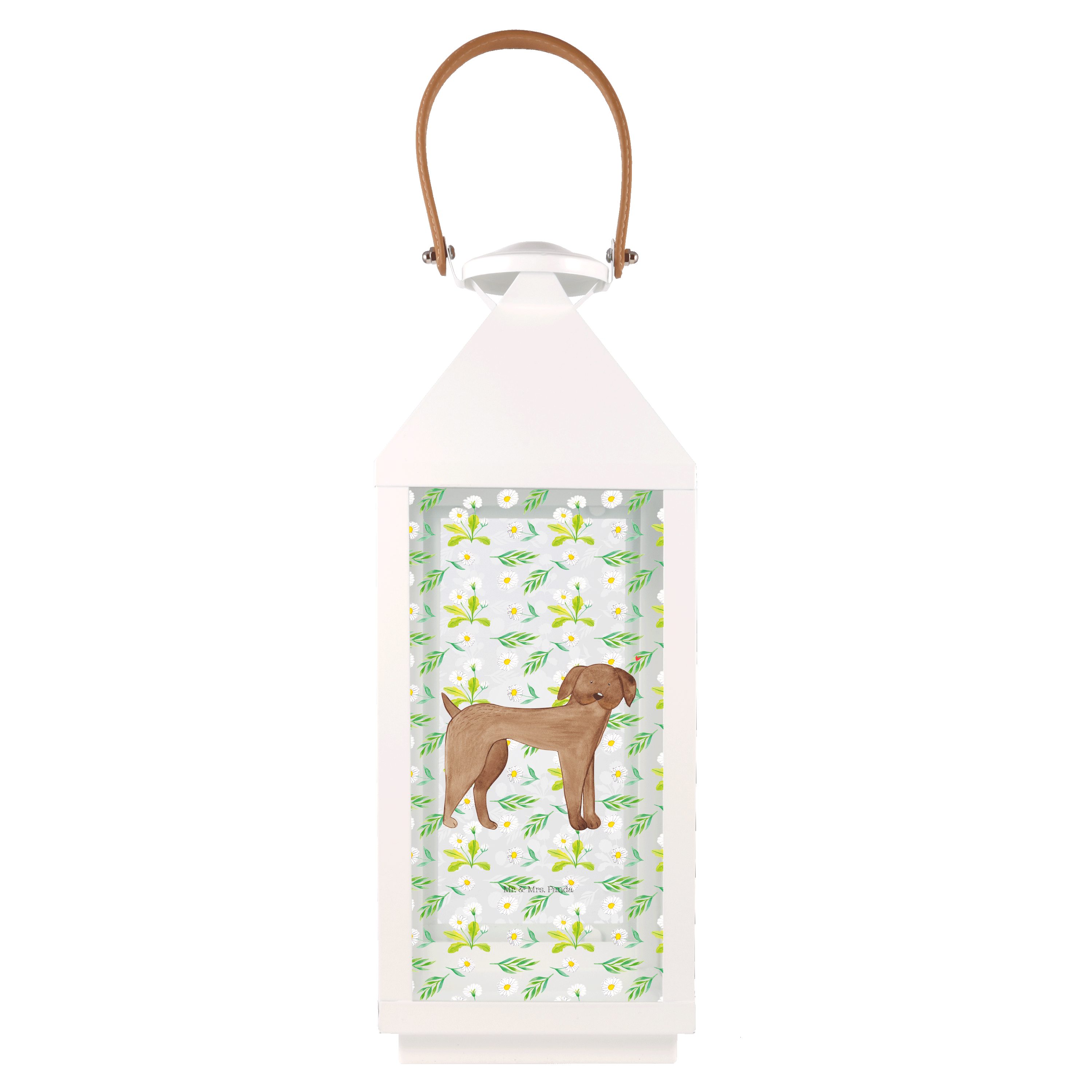 Mr. & Mrs. Panda Gartenleuchte Hund Dogge, Laterne L, Transparent, Windlicht Outdoor, Glaslaterne, N