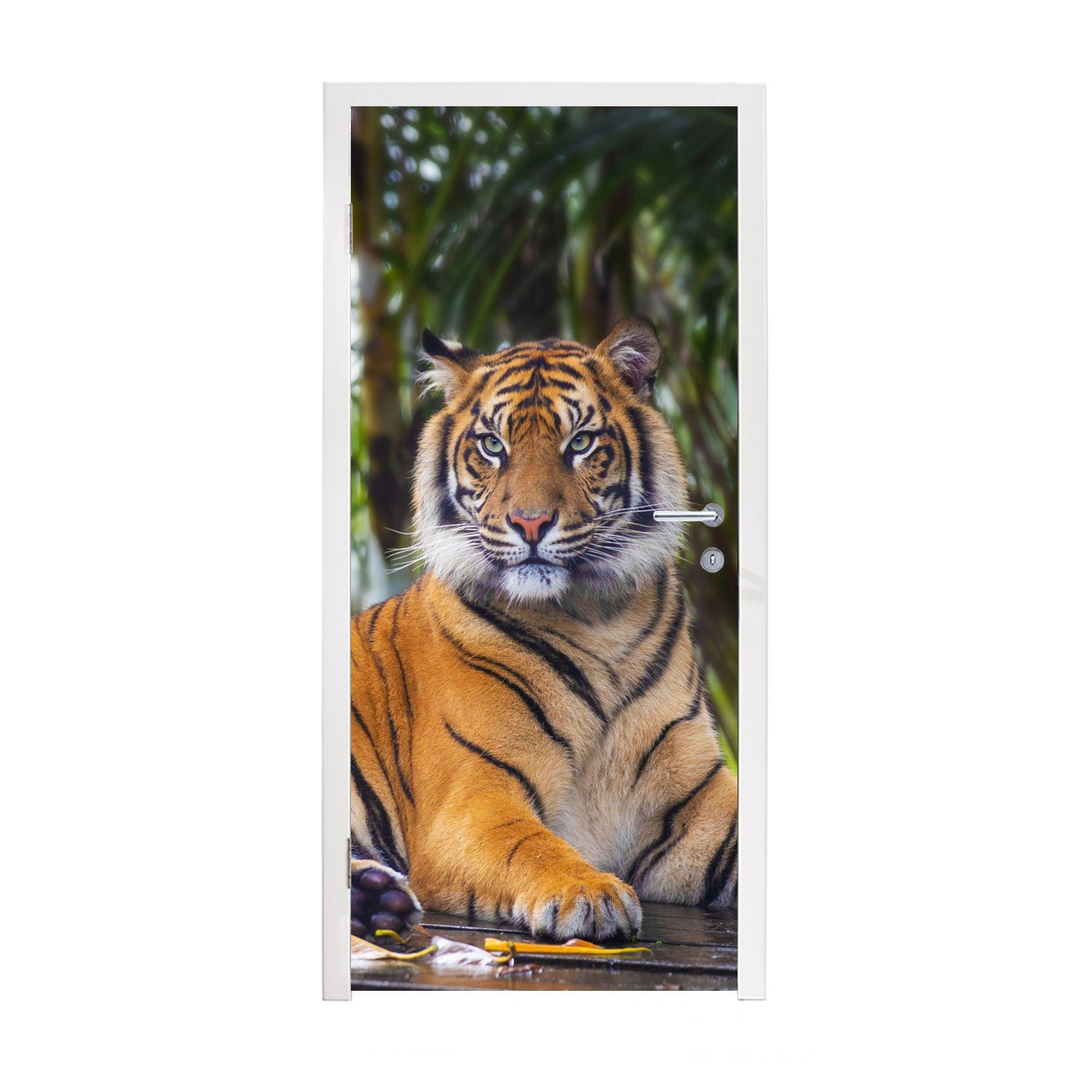 MuchoWow Türtapete Tiger - Tiere - Wald - Dschungel, Matt, bedruckt, (1 St), Fototapete für Tür, Türaufkleber, 75x205 cm