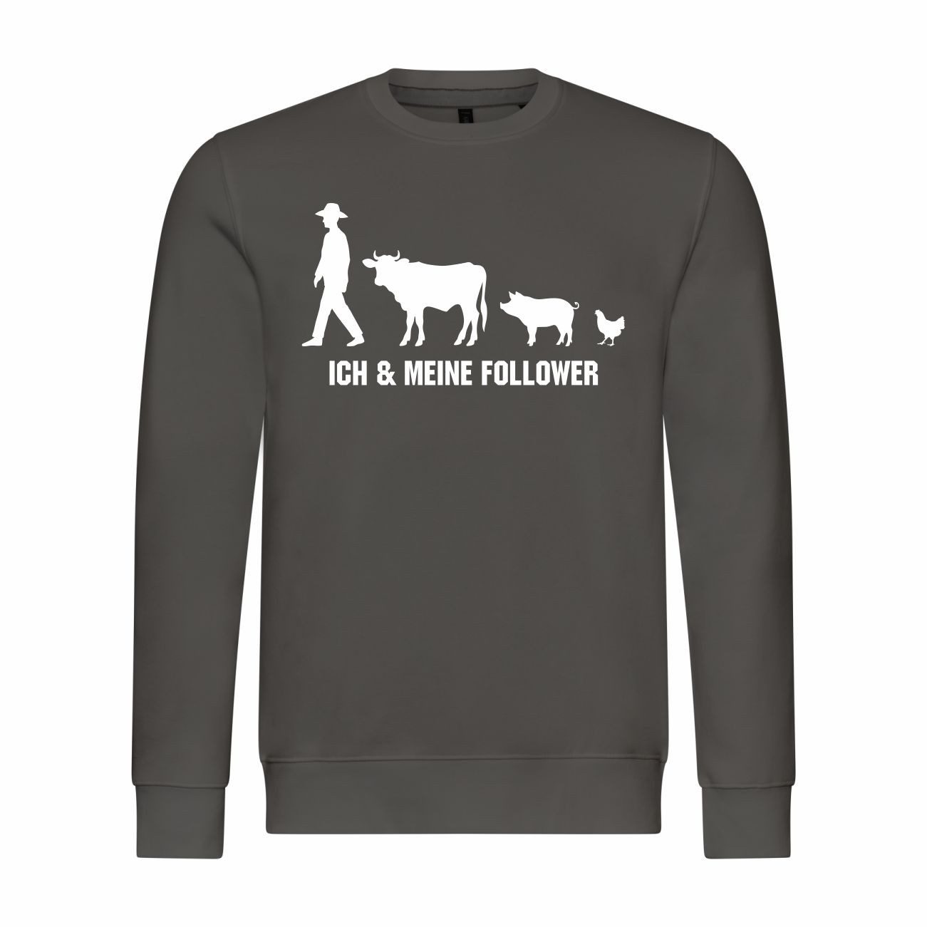 Rundhalspullover Herren Pullover Ich und meine Follower