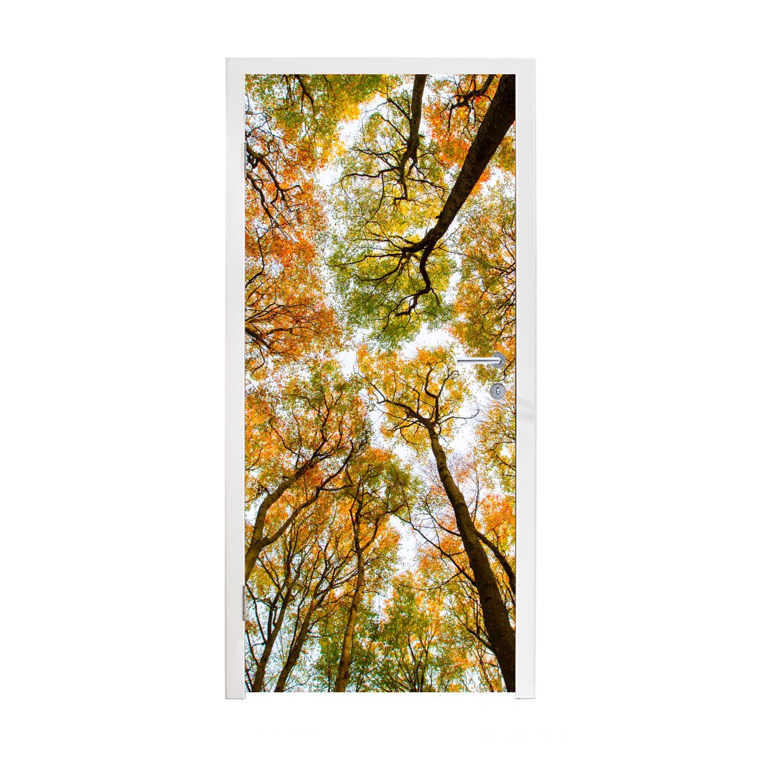 MuchoWow Türtapete Herbst - Himmel - Baum, Matt, bedruckt, (1 St), Fototapete für Tür, Türaufkleber, 75x205 cm