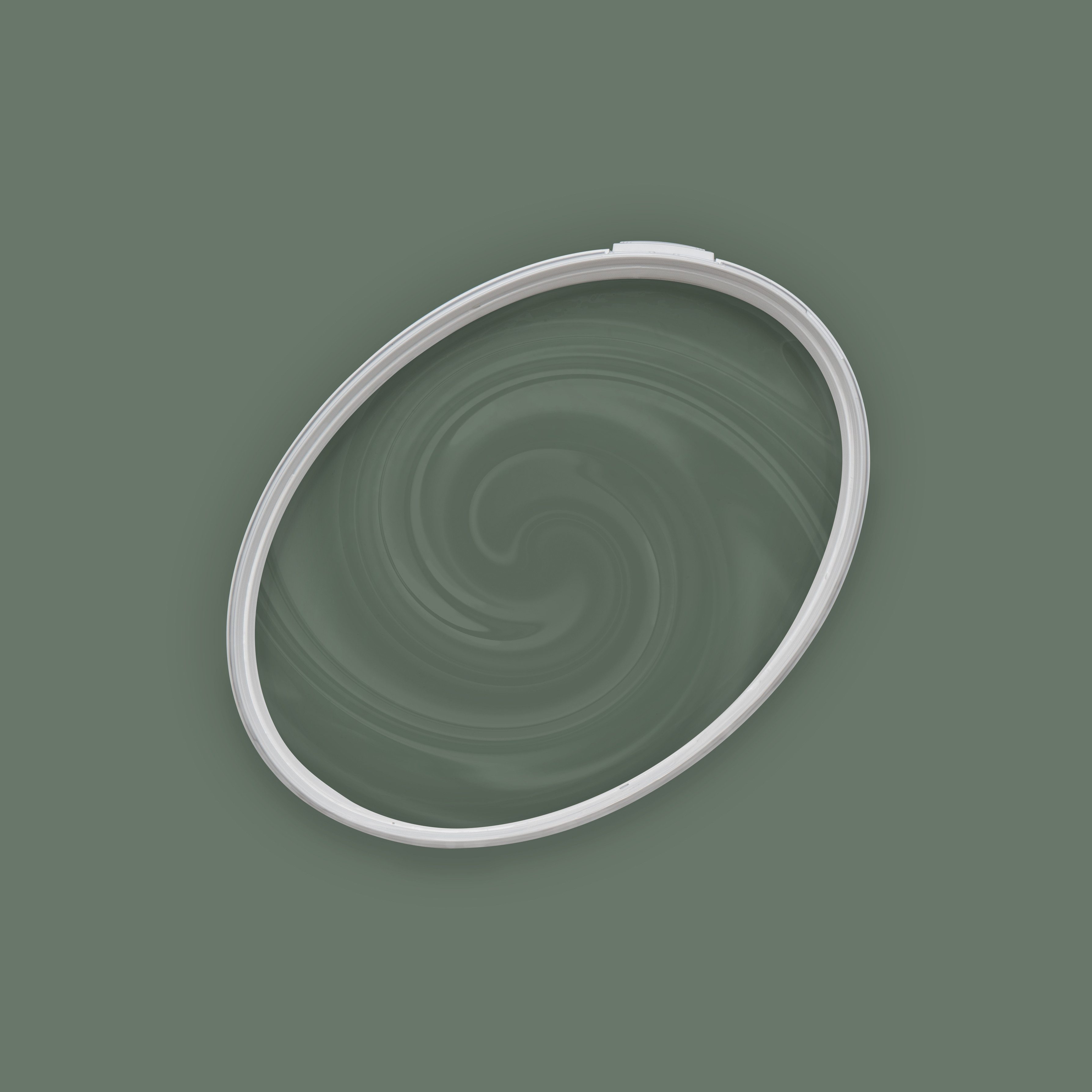 A.S. Création Wand- und Deckenfarbe The Color Kitchen Wandfarbe Grün "Ritzy Rosemary" TCK4005 5 l