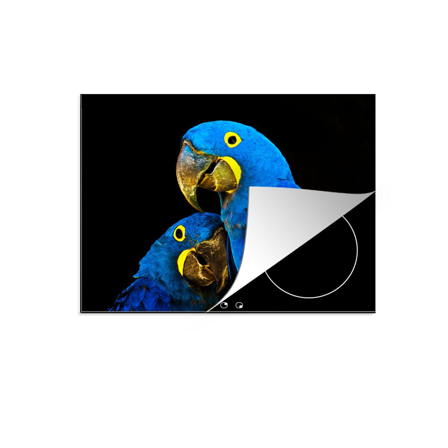 MuchoWow Herdblende-/Abdeckplatte Papagei - Vogel - Federn - Blau, Vinyl, (1 tlg), 59x52 cm, Ceranfeldabdeckung für die küche, Induktionsmatte