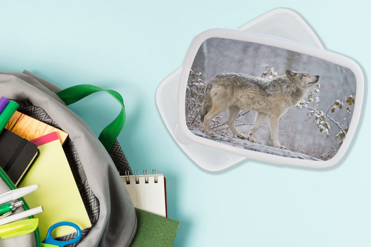 MuchoWow Lunchbox Wolf - Kinder Winter Brotbox Kunststoff, weiß für Jungs - und (2-tlg), Mädchen Schnee, und Erwachsene, Brotdose, für