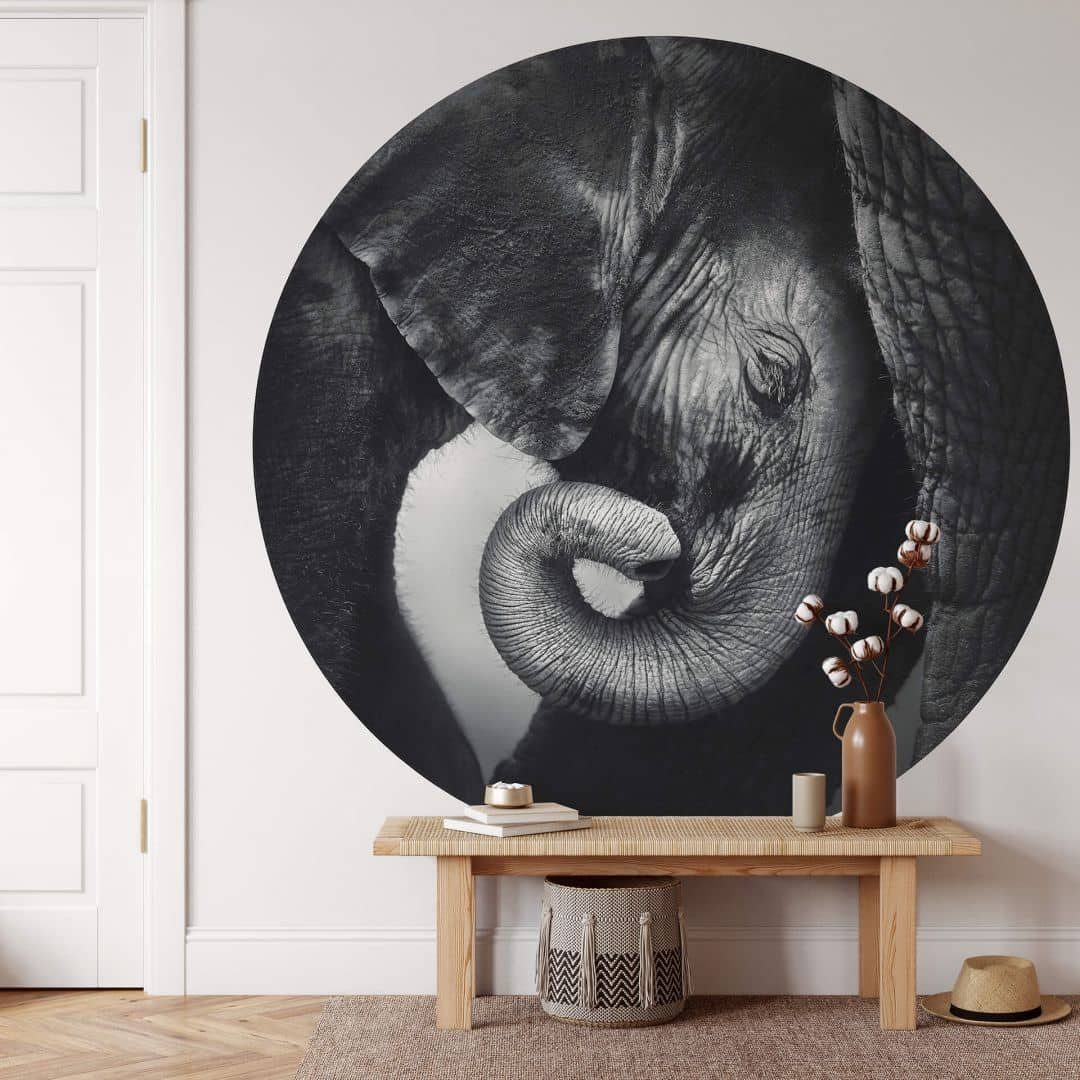 K&L Wall Art Fototapete »Fototapete Baby Elefant Safari Tiere Vliestapete  Rund Kinderzimmer Deko«, Elefantenbaby Tapete