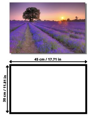 Victor (Zenith) Acrylglasbild Acrylglasbild \"Lavendelmeer in der Provence\" - Größe: 30 x 45 cm, Landschaften, in 30x45 cm, Glasbilder Blumen, Acrylglasbilder Wohnzimmer