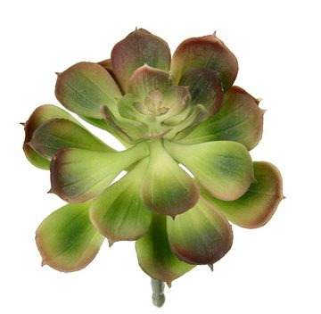 Kunstpflanze Dekorative Sukkulenten, I.GE.A., Höhe 16 cm, 4er Set, künstliche Pflanzen, Sukkulenten, Aloe, Agave, Kaktus