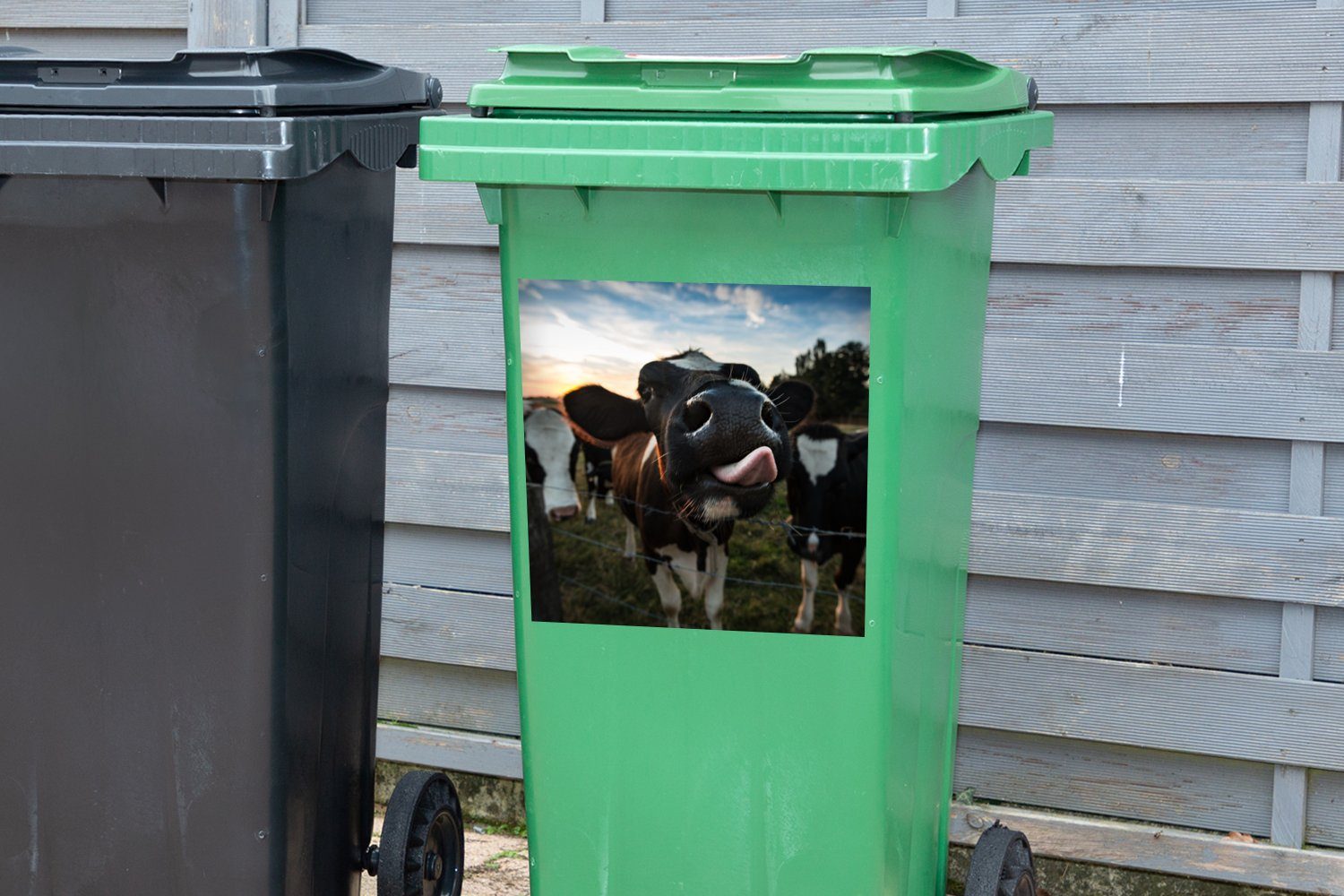 - Mülleimer-aufkleber, - Container, MuchoWow (1 Tier Kuh Mülltonne, St), Nahaufnahme Wandsticker Sticker, Abfalbehälter