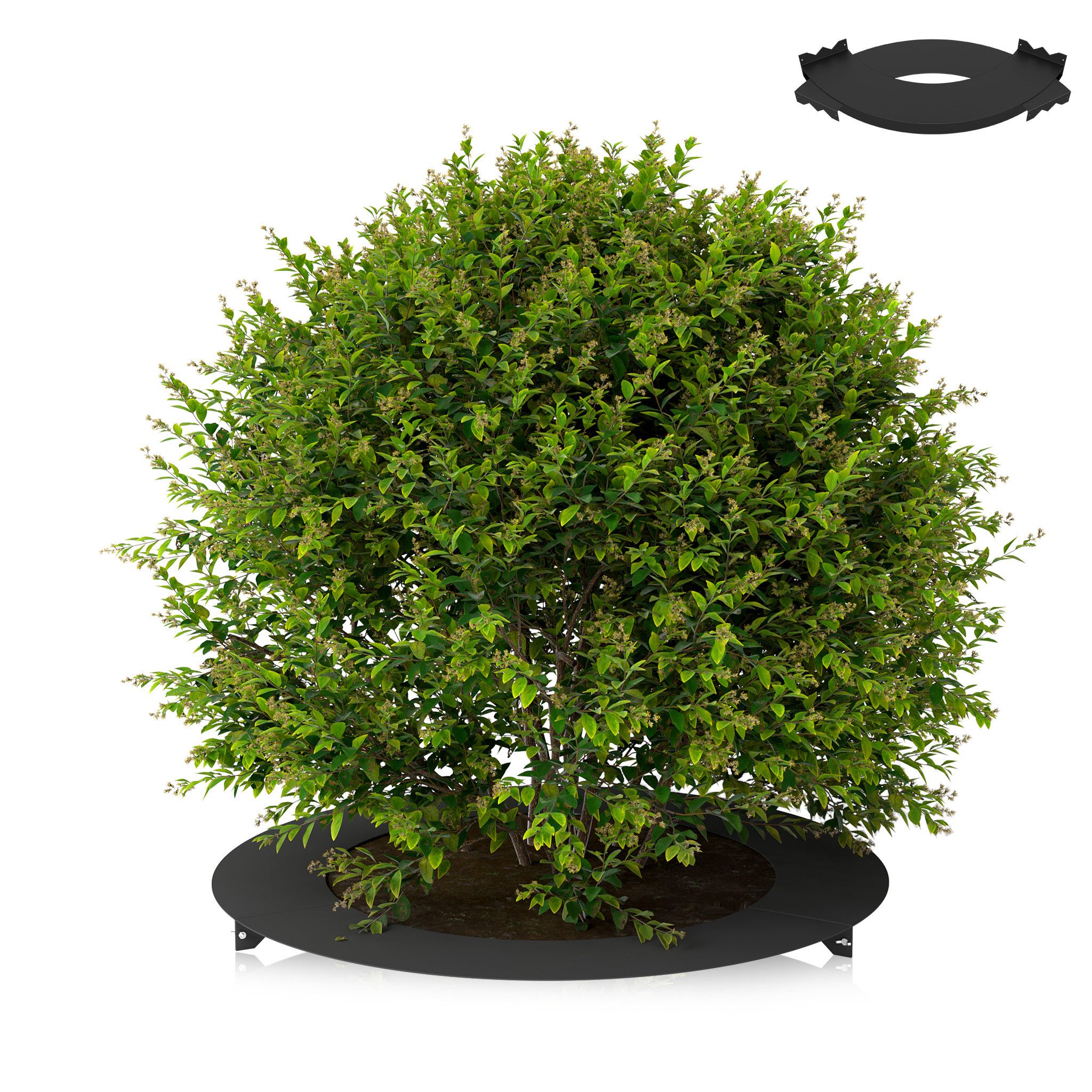 FIVMEN Beetumrandung Mähkante Rasenkante Baumring aus Stahl Gartenpflege, für Bäume & Sträucher, Mähroboter-kompatibel Gartendeko