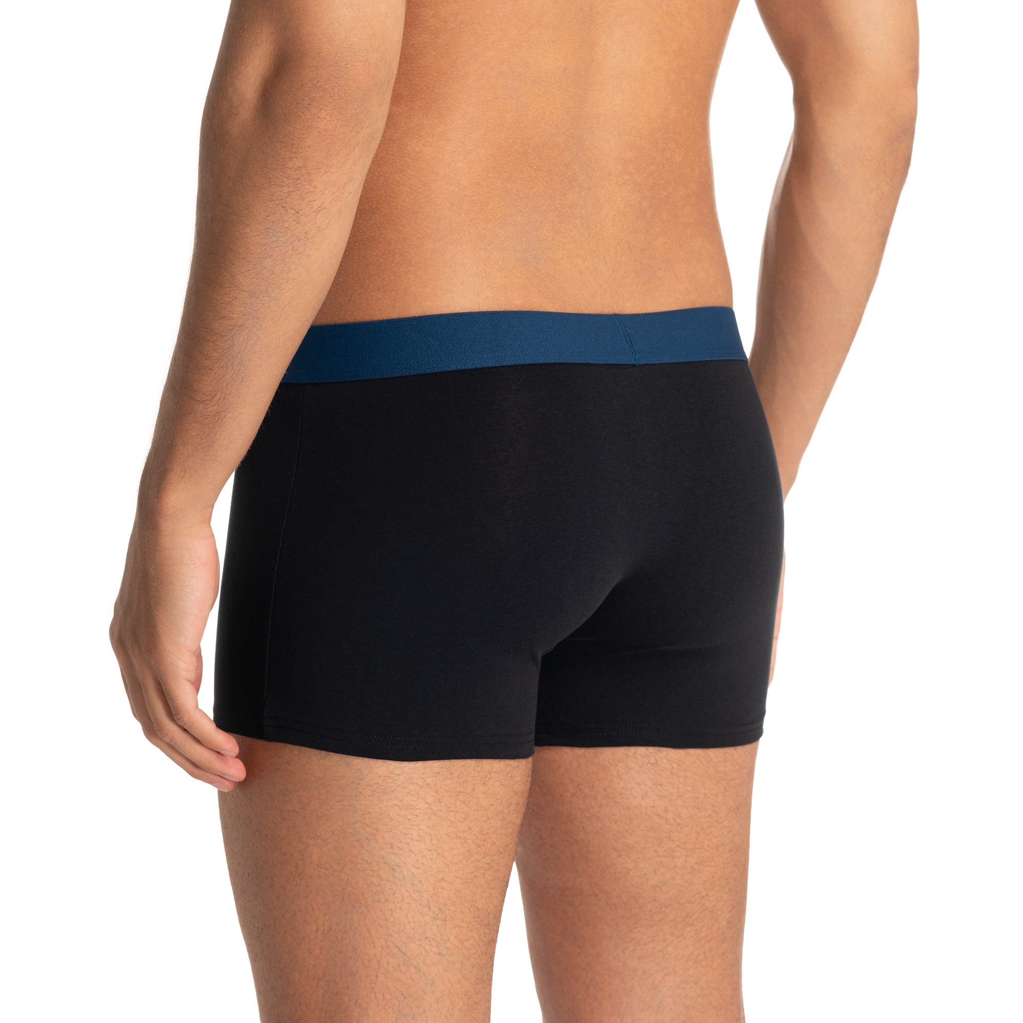 Bruno Banani Boxer Flowing (2er Pack) mit kontrastreichem Logobund – Bild 5 von 5