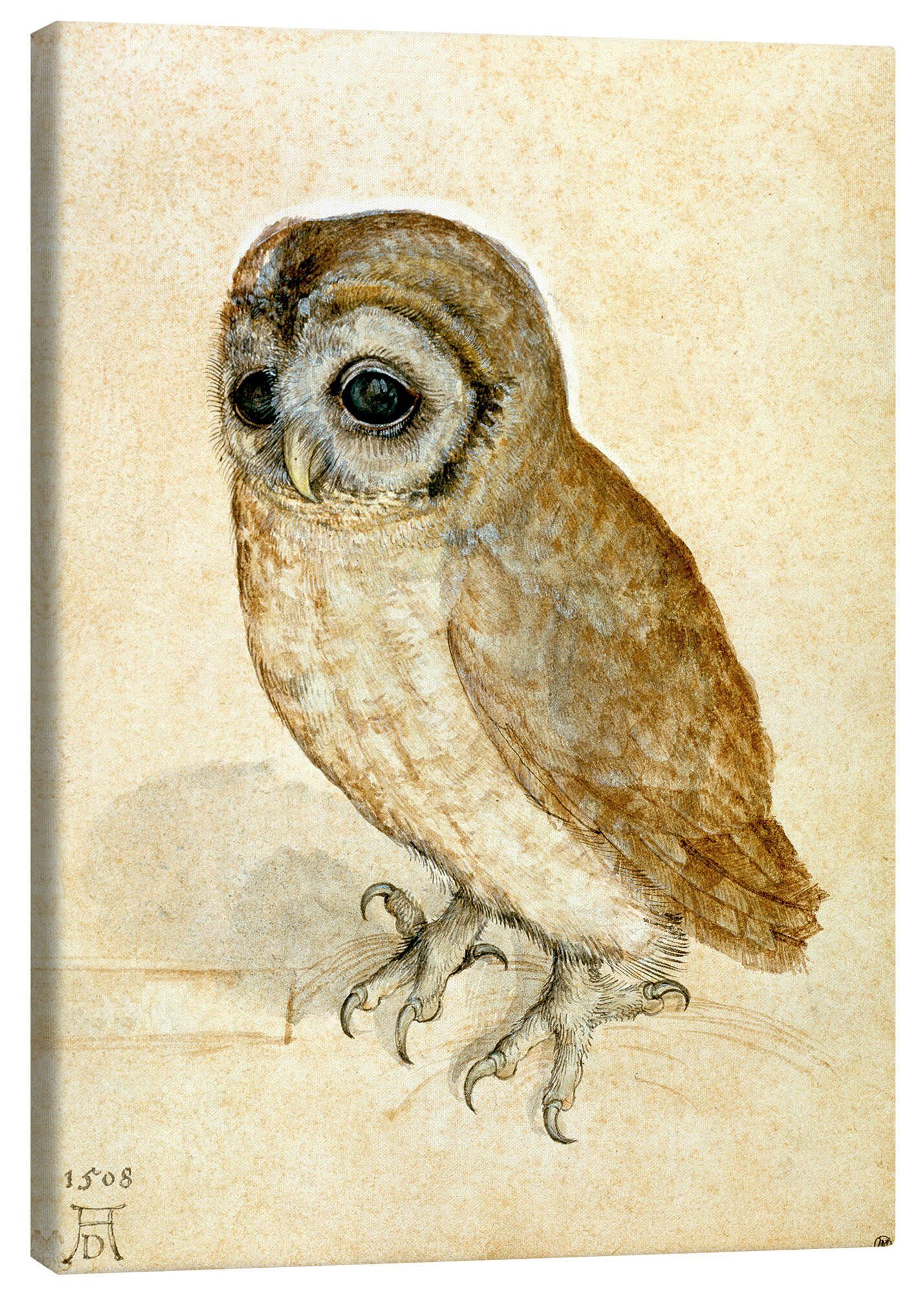 Leinwandbild Albrecht Dürer