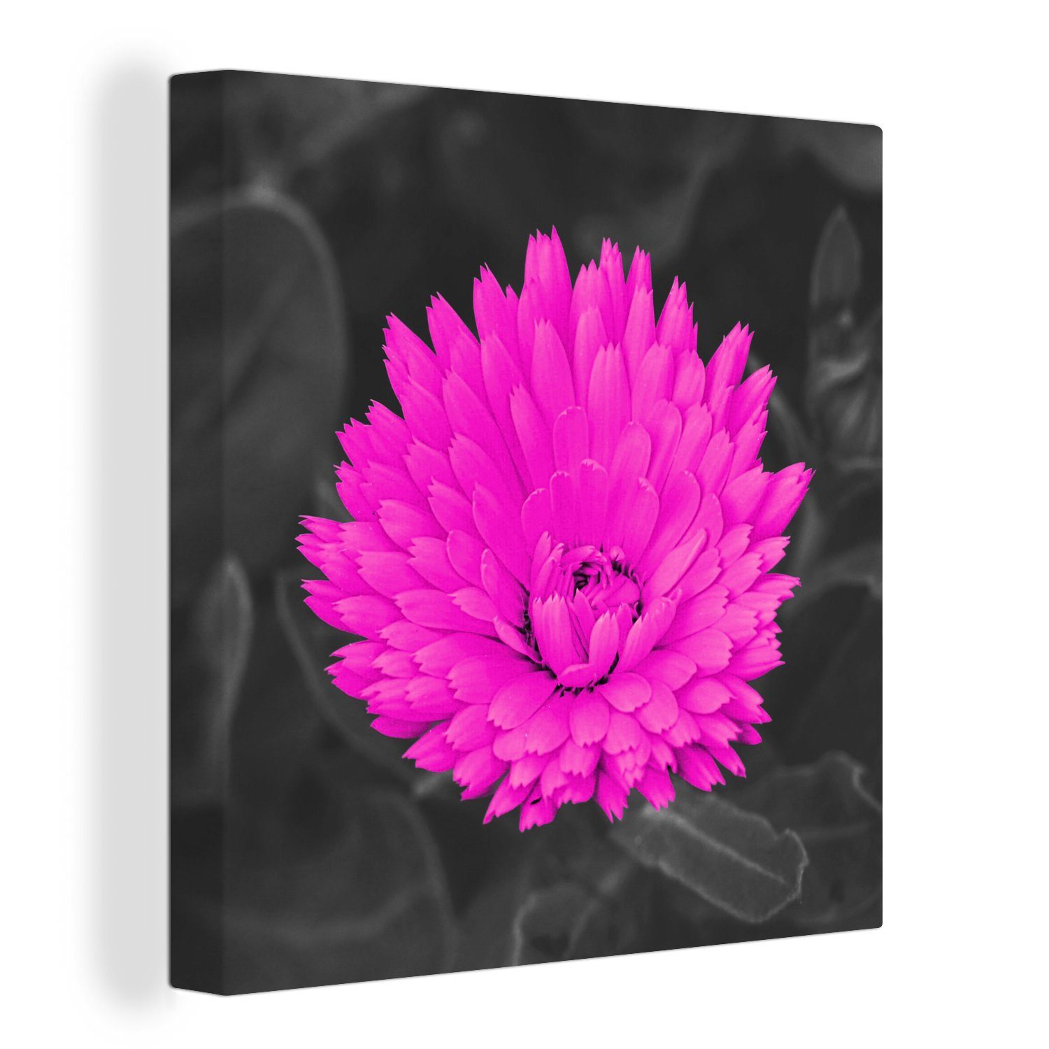 Leinwandbild Blumen Bilder - Leinwand OneMillionCanvasses® Wohnzimmer Schlafzimmer St), (1 für Rosa, Aquarell -