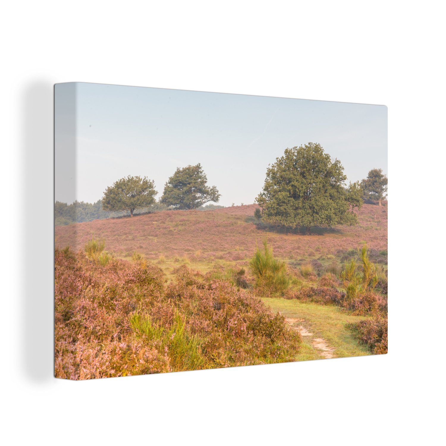 OneMillionCanvasses® Leinwandbild Ein Wanderweg im Nationalpark Veluwezoom in Gelderland, (1 St), Wandbild Leinwandbilder, Aufhängefertig, Wanddeko, 30x20 cm