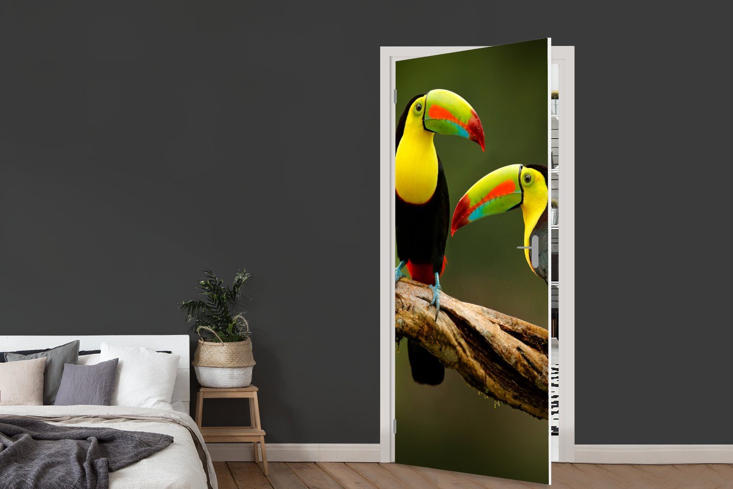 MuchoWow Türtapete Vögel - - Fototapete bedruckt, für St), 75x205 Matt, Tukan Zweig Tür, (1 - Tiere Regenbogen, cm Türaufkleber, 