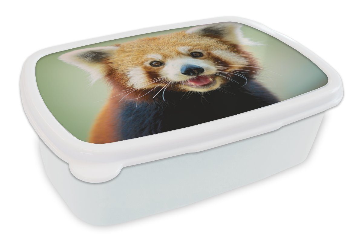 MuchoWow Lunchbox Roter Panda - Orange - Schwarz, Kunststoff, (2-tlg), Brotbox für Kinder und Erwachsene, Brotdose, für Jungs und Mädchen weiß