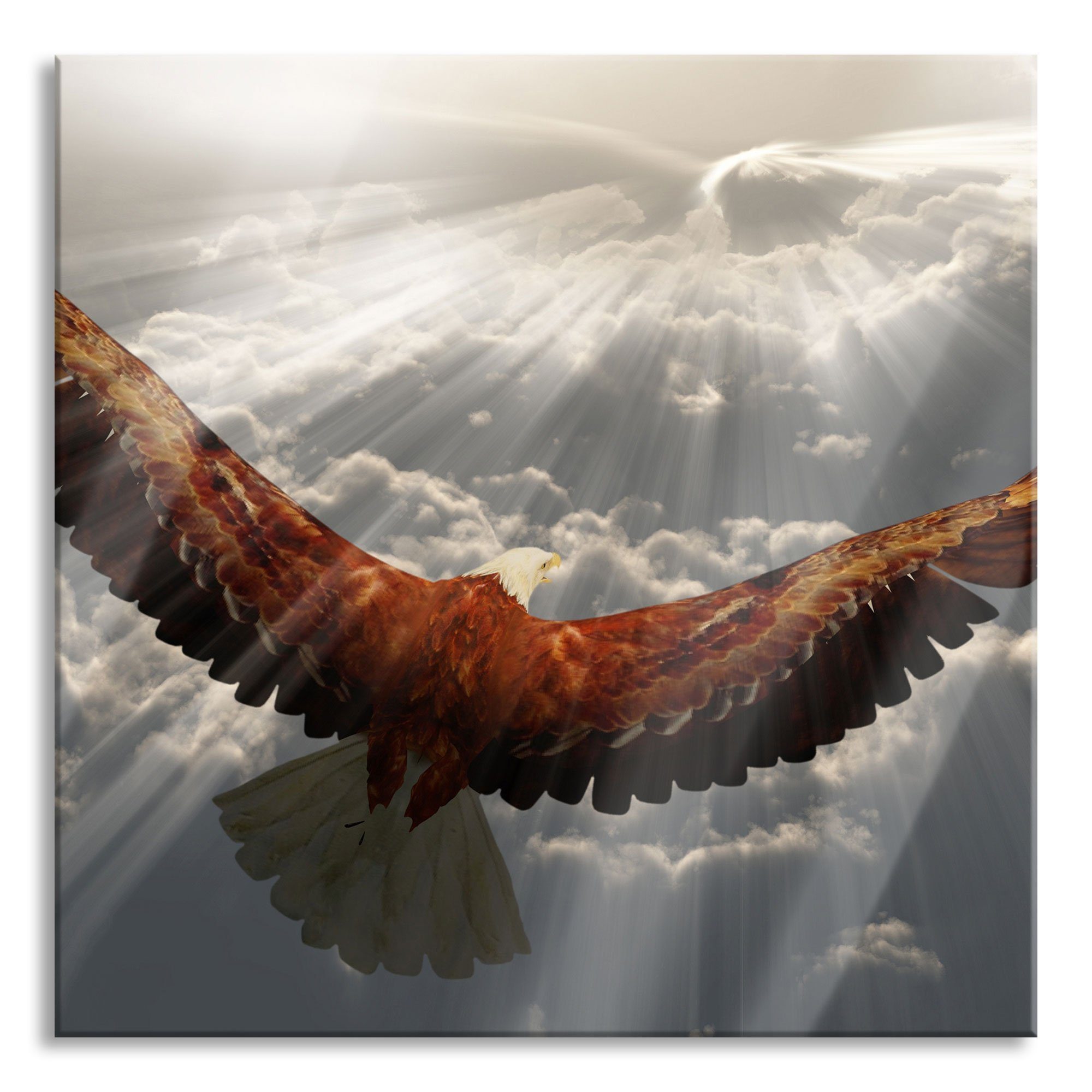 Pixxprint Glasbild Adler über den Wolken, Adler über den Wolken (1 St), Glasbild aus Echtglas, inkl. Aufhängungen und Abstandshalter | Bilder